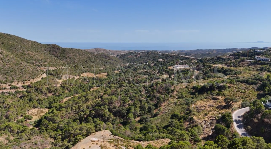 Monte Mayor, parcela a la venta