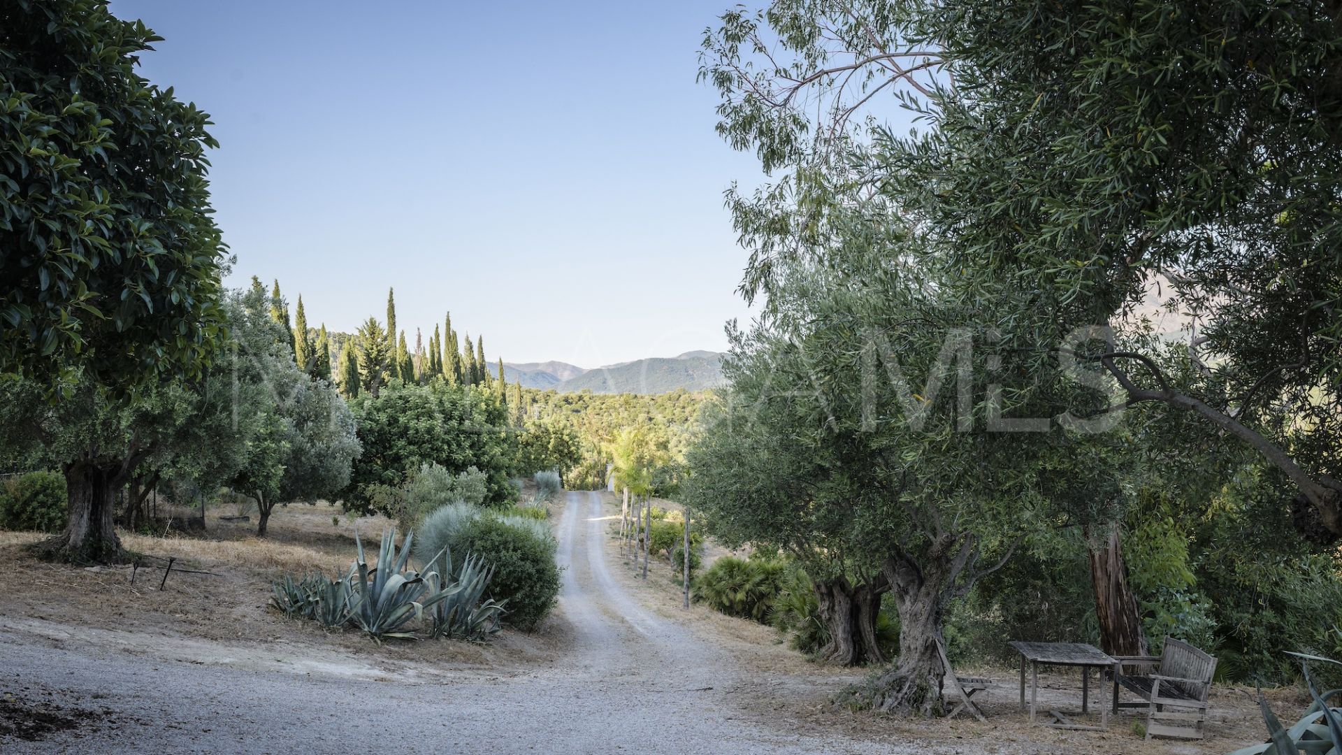 Maison de campagne for sale in Gaucin