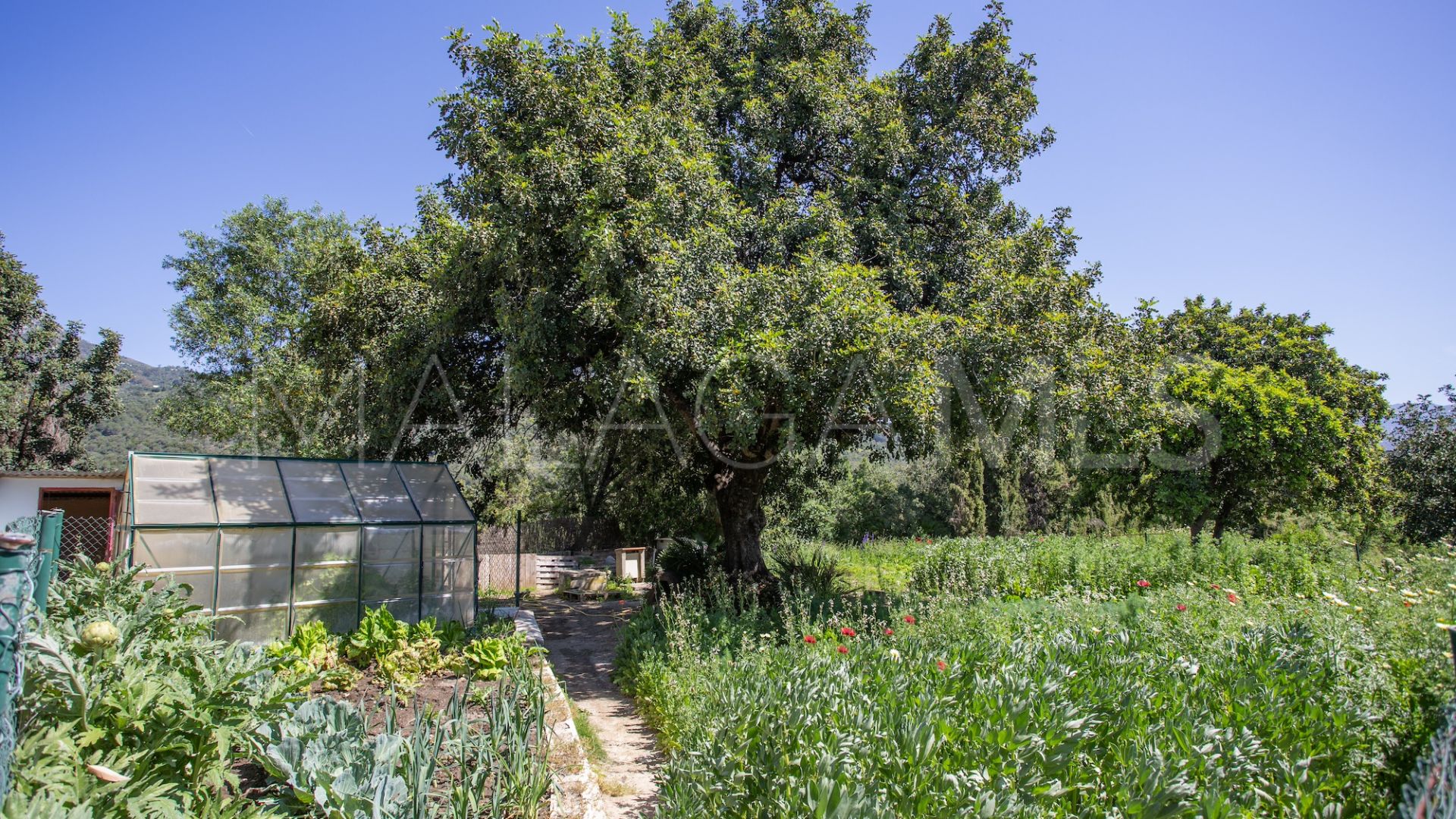 Maison de campagne for sale in Gaucin