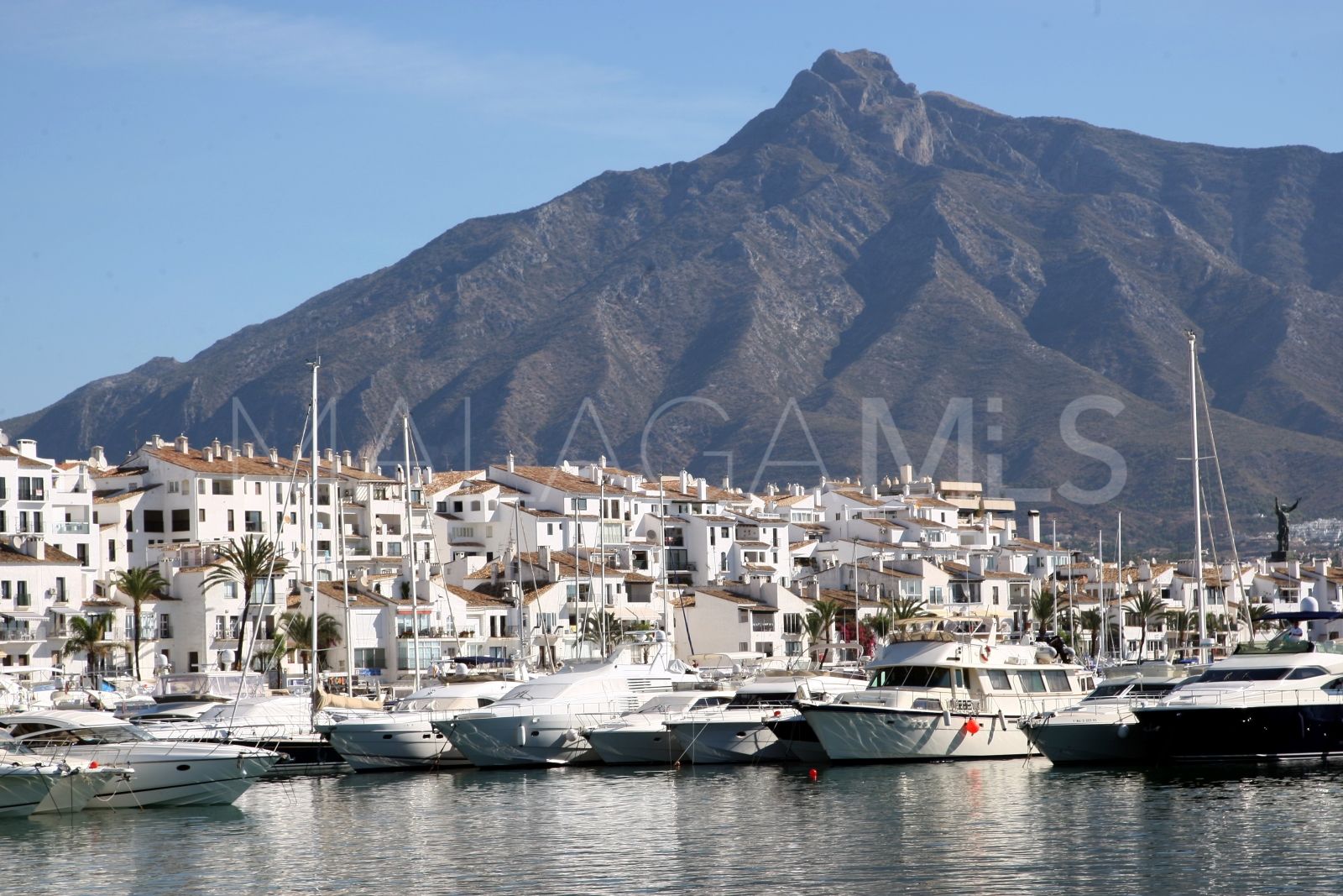Nueva Andalucia plot for sale