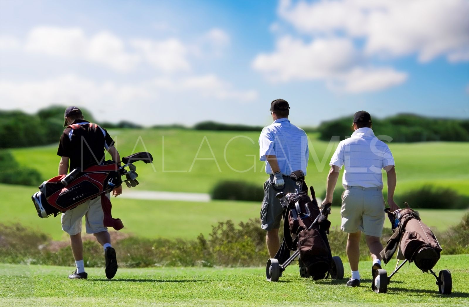 Villa for sale in Los Flamingos Golf