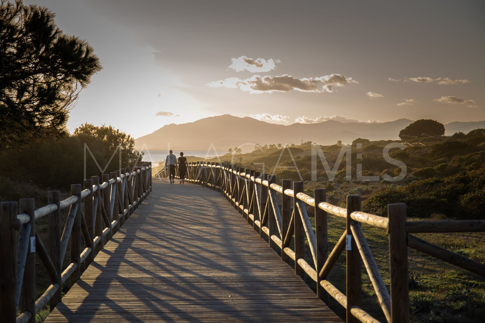 Buy parcela in Benahavis