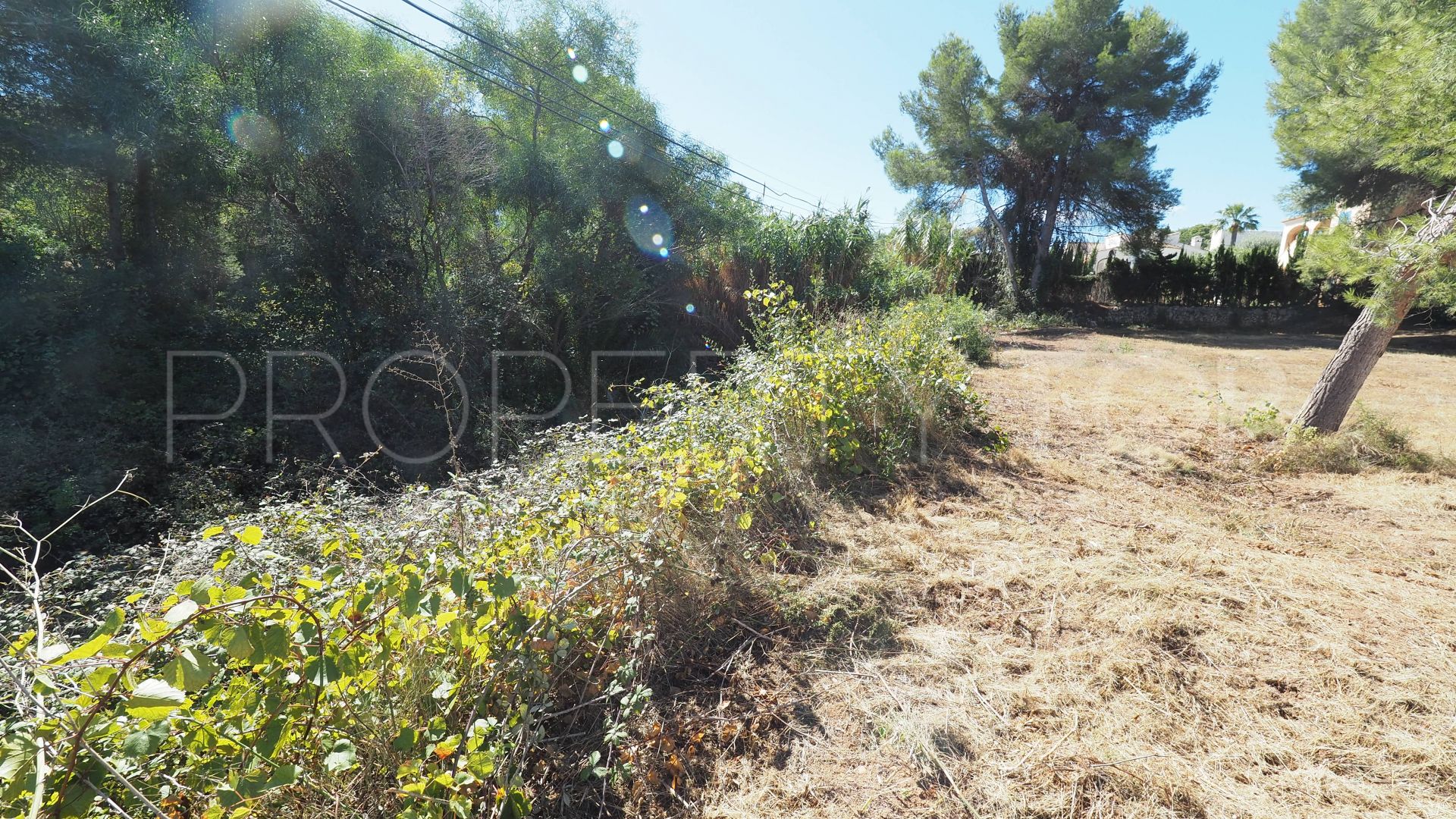 Plot for sale in Adsubia