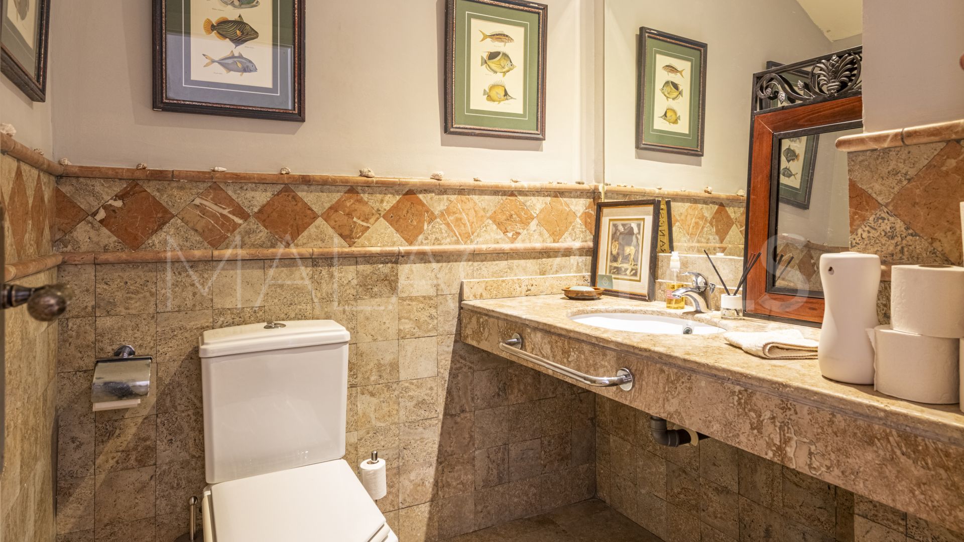 Zweistöckiges penthouse for sale in Paraiso Barronal