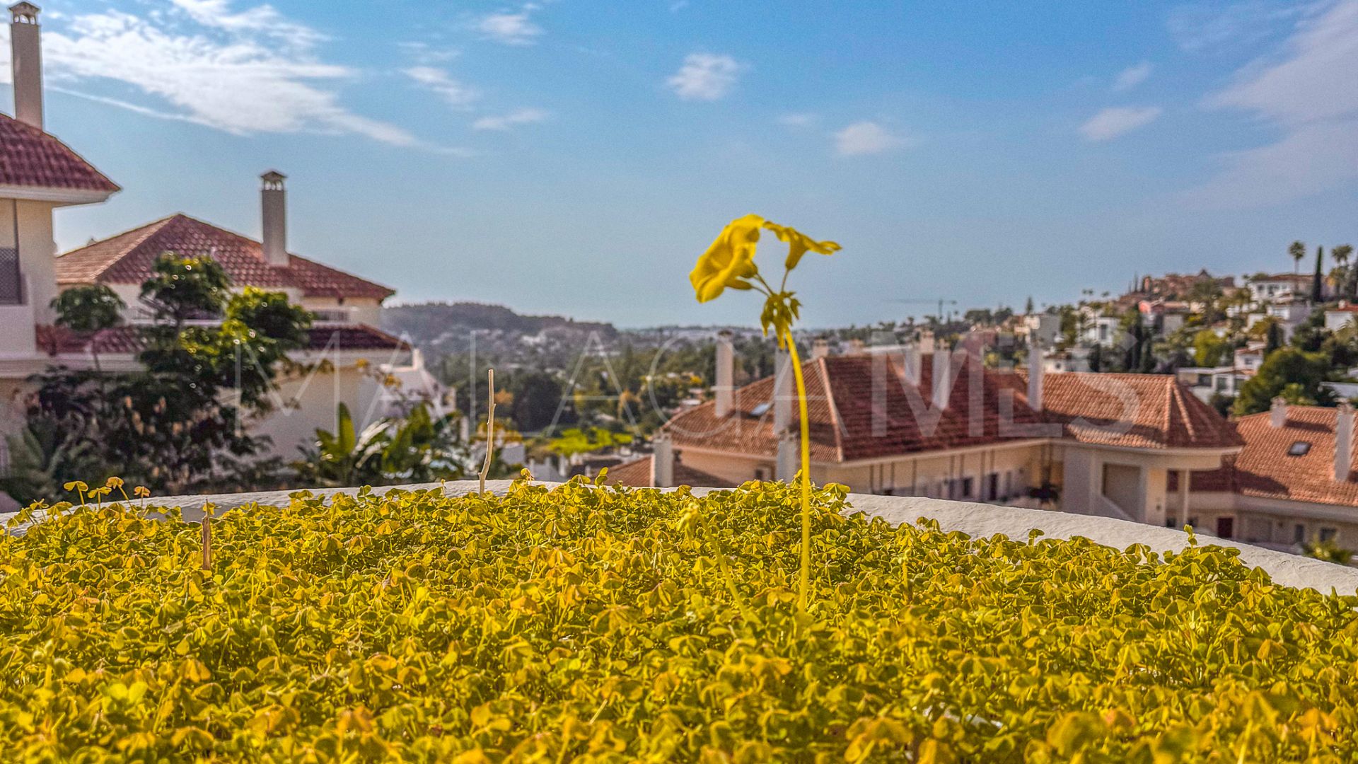 Appartement for sale in Aloha
