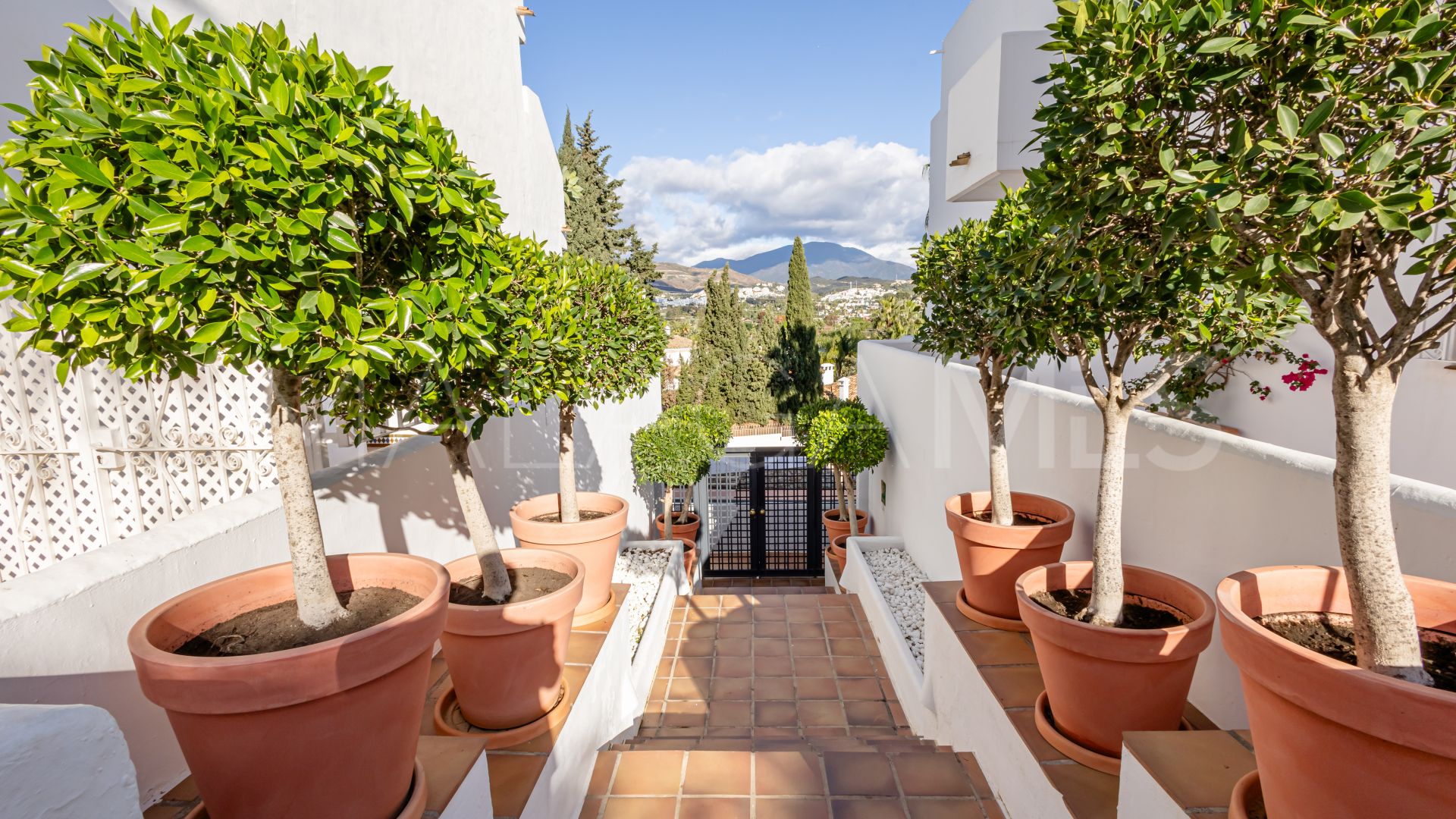 For sale apartment in Nueva Andalucia