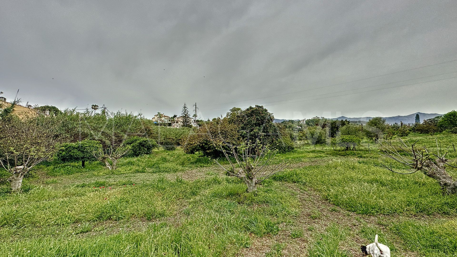 Hus på landet for sale in Estepona