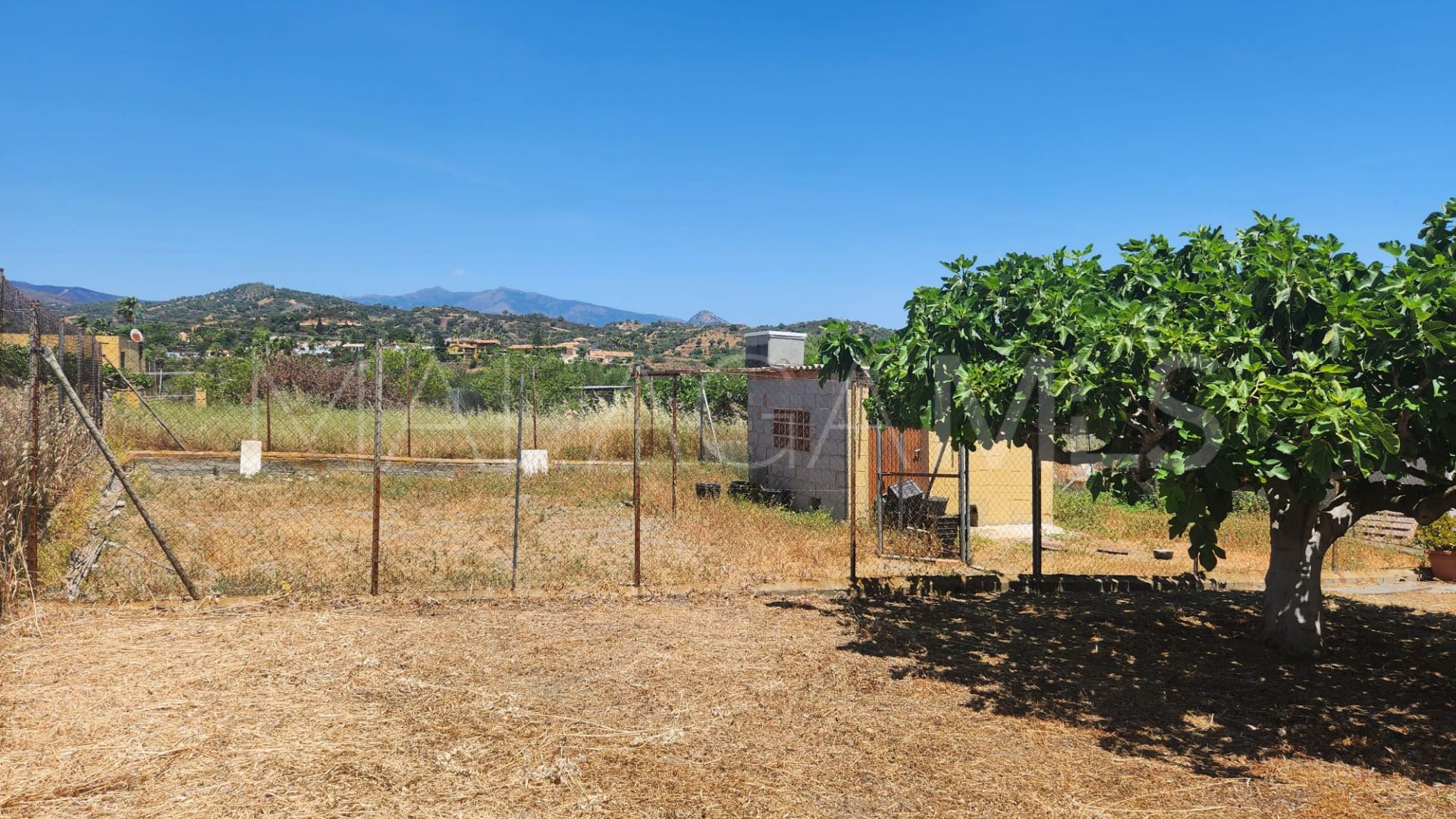 Plot for sale in El Padron