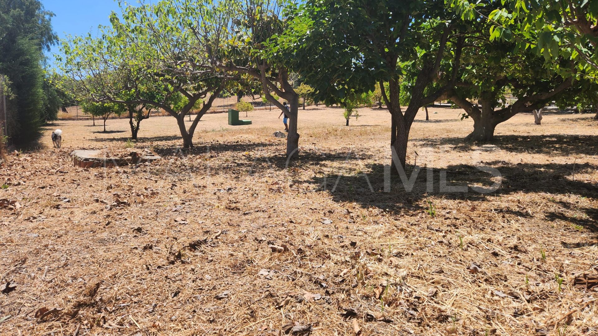 Plot for sale in El Padron