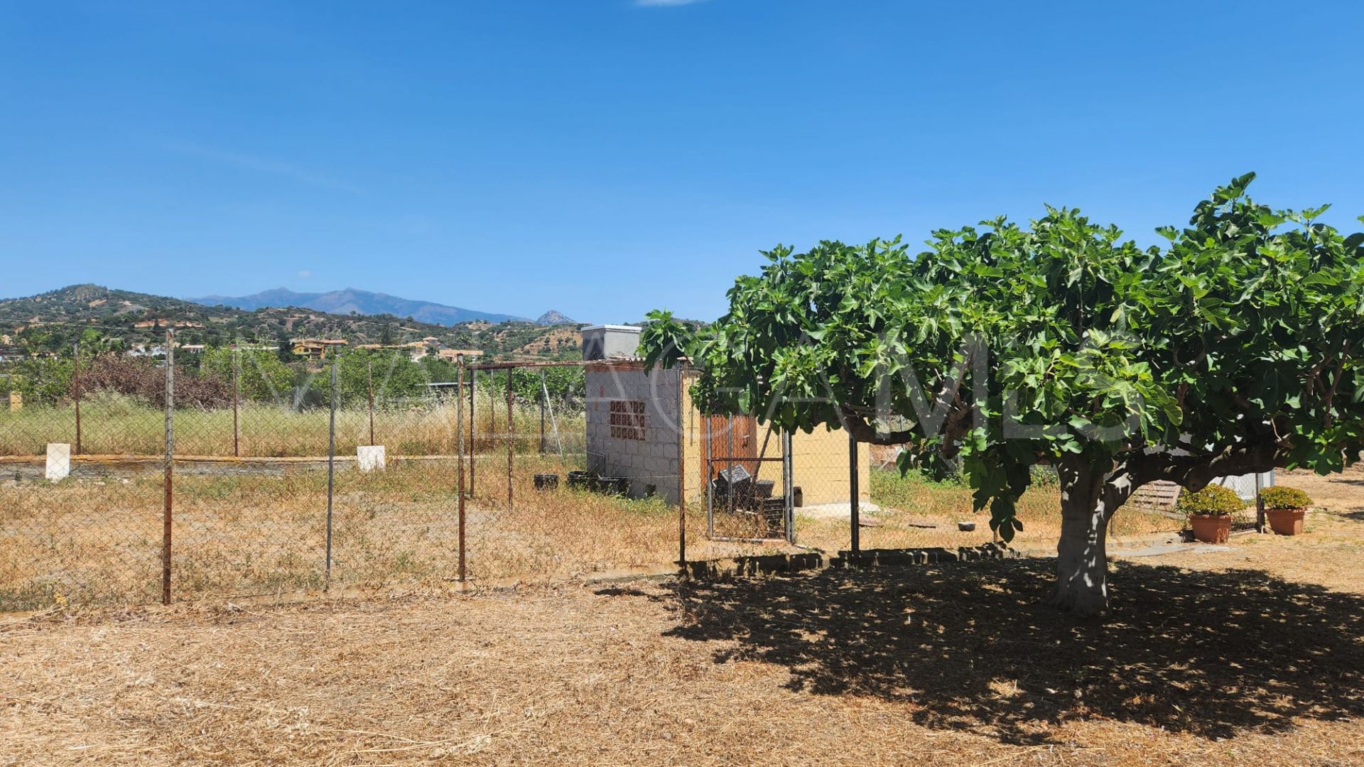 Plot for sale in El Padron