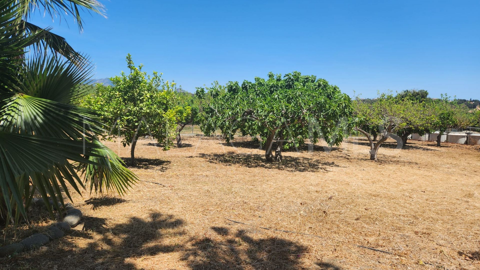 Tomt for sale in El Padron