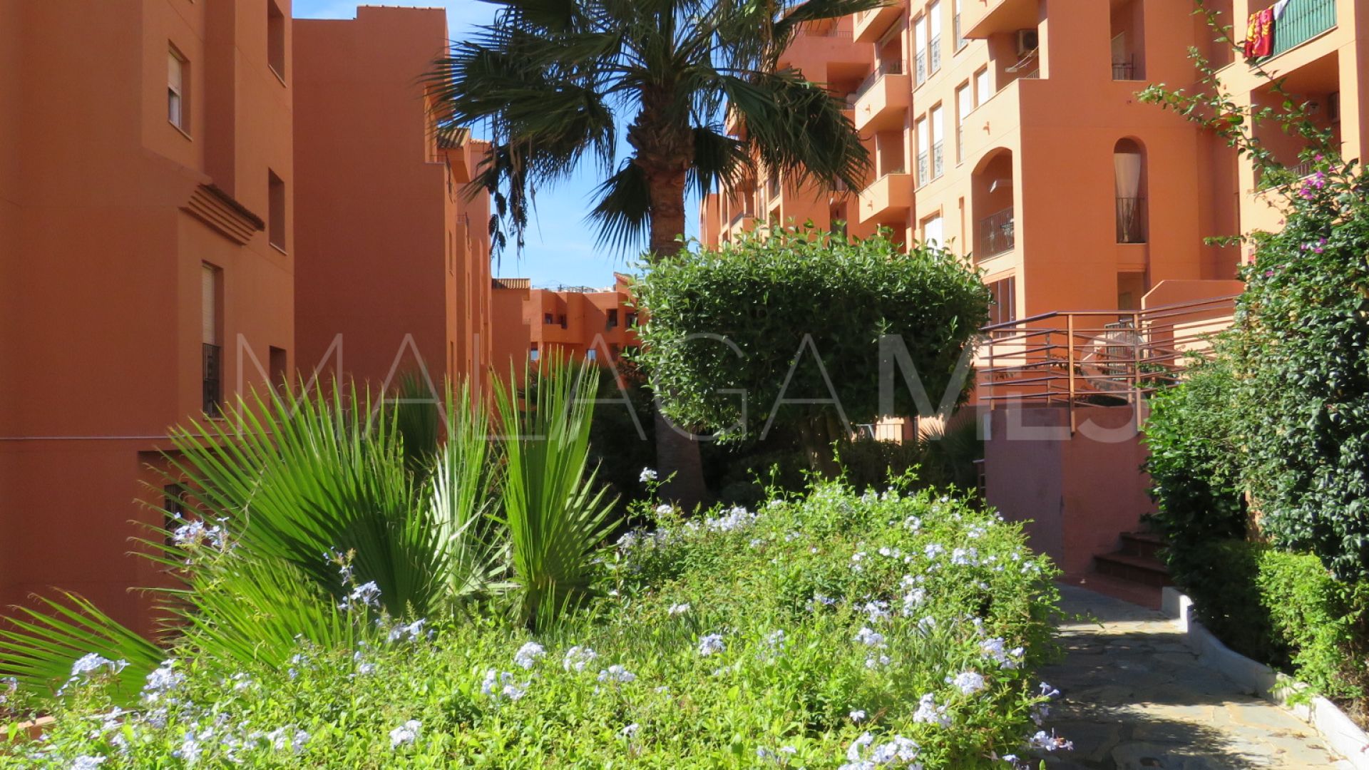 Buy apartamento in Los Hidalgos