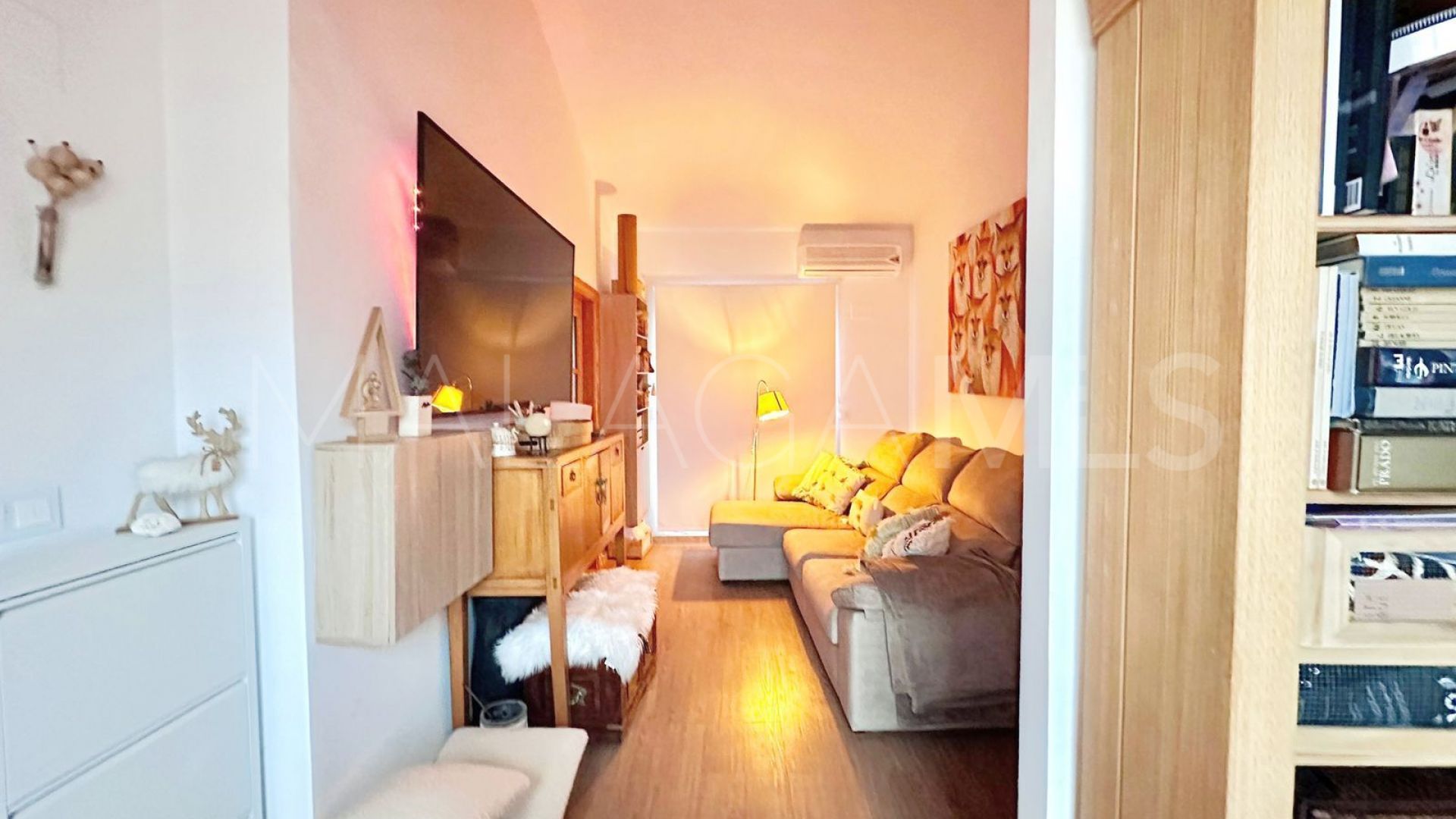 Manilva 1 bedroom penthouse for sale
