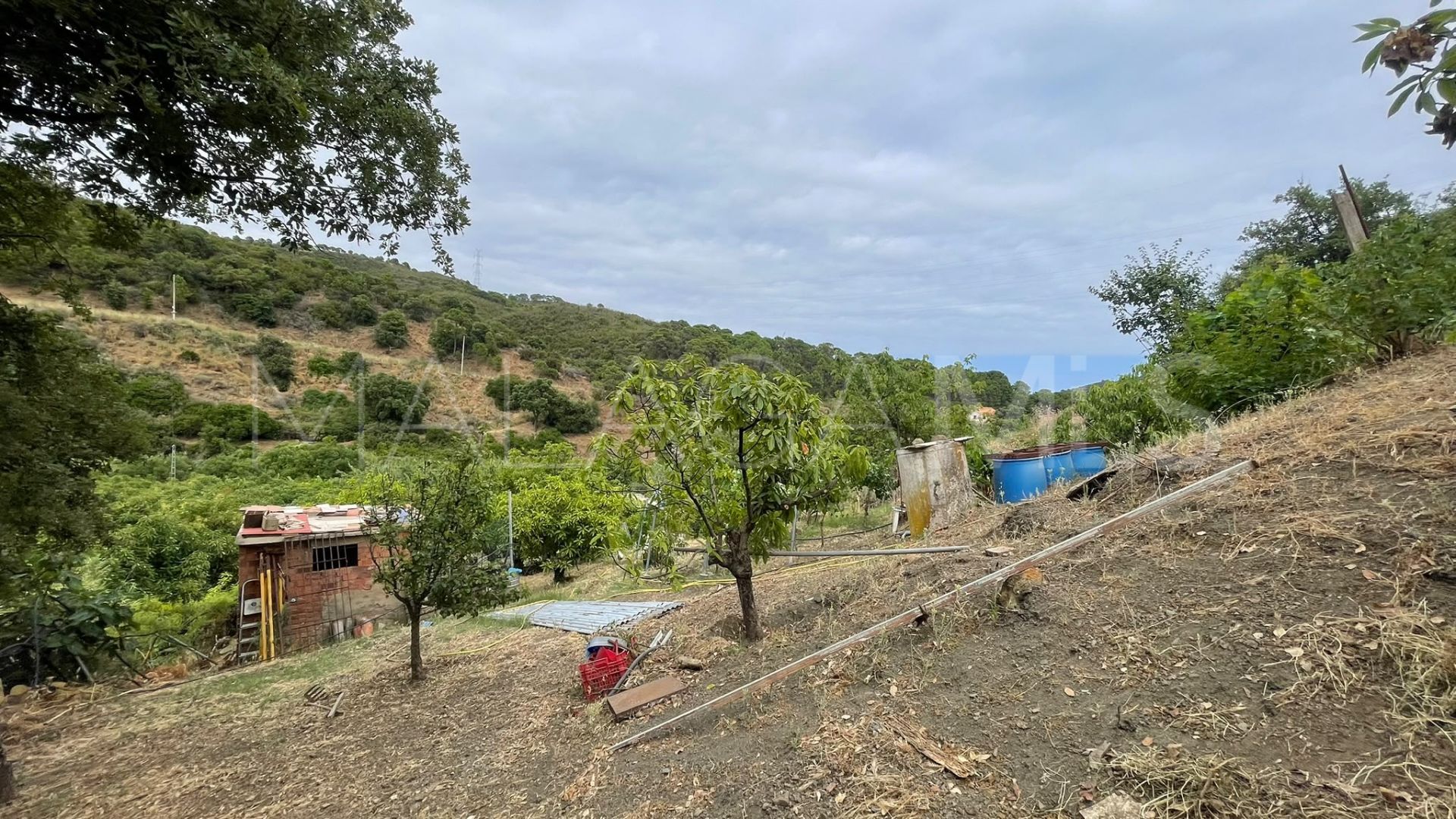 Terrain for sale in Los Reales - Sierra Estepona