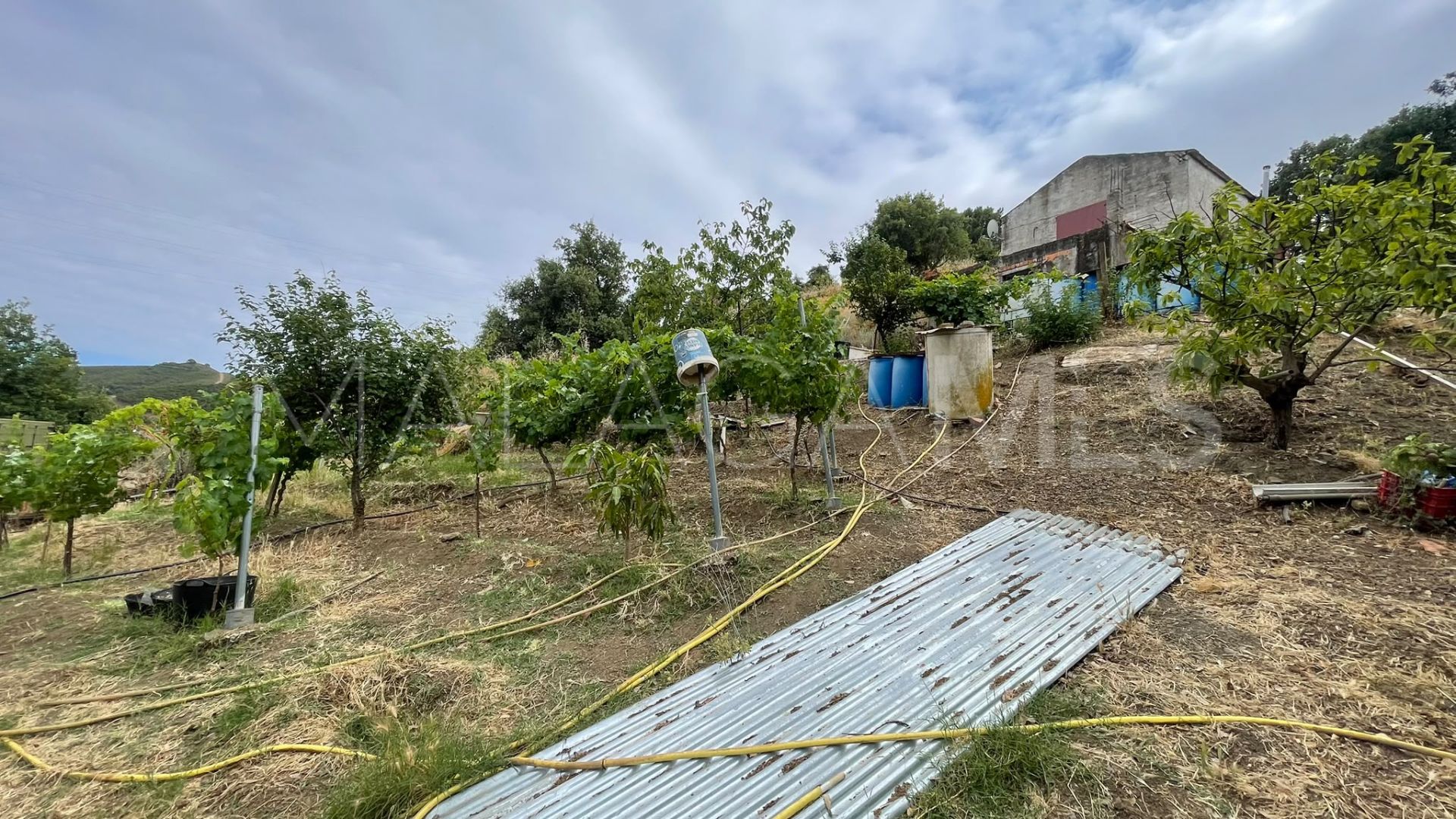 Terrain for sale in Los Reales - Sierra Estepona