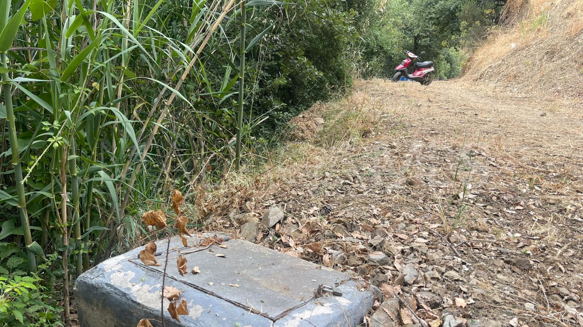 Terrain for sale in Los Reales - Sierra Estepona