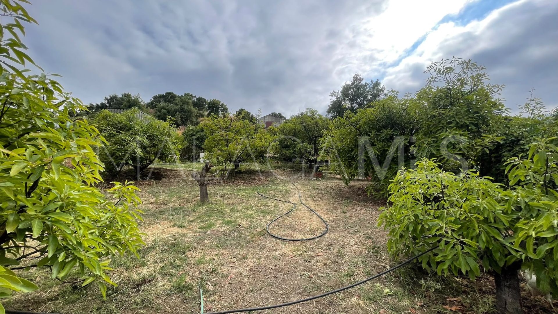 Terrain for sale in Los Reales - Sierra Estepona