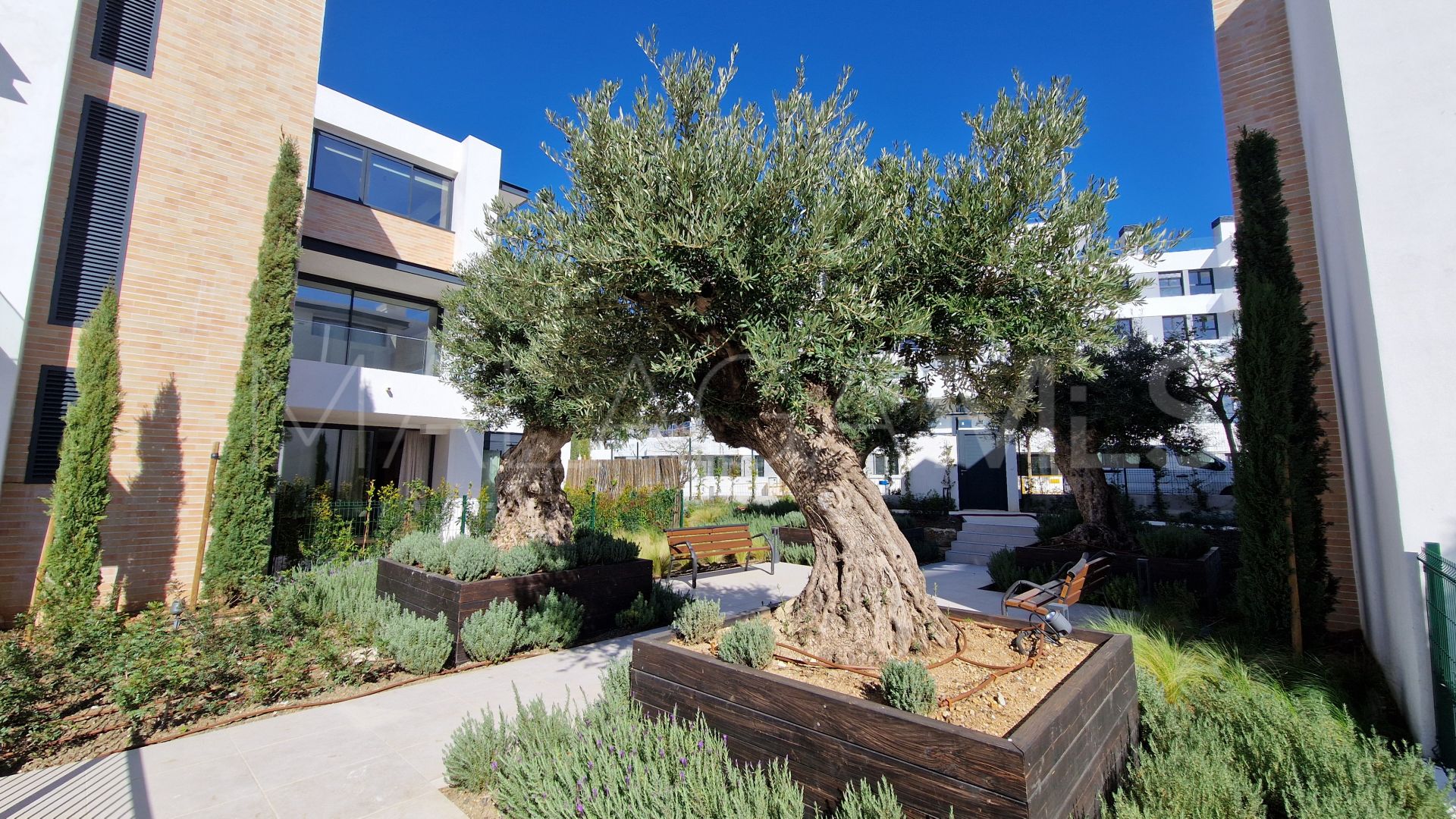 Apartamento planta baja de 3 bedrooms for sale in Estepona Centro