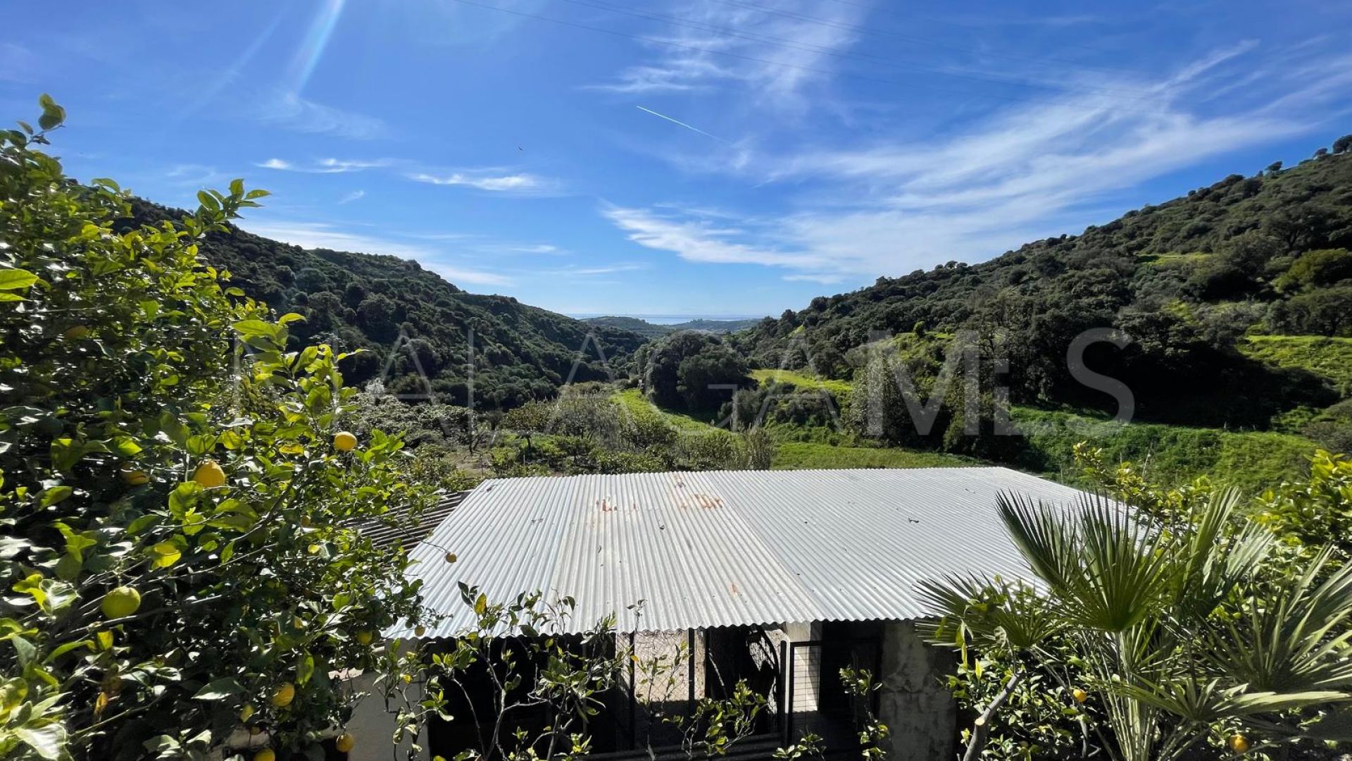 Maison de campagne for sale in Los Pedregales