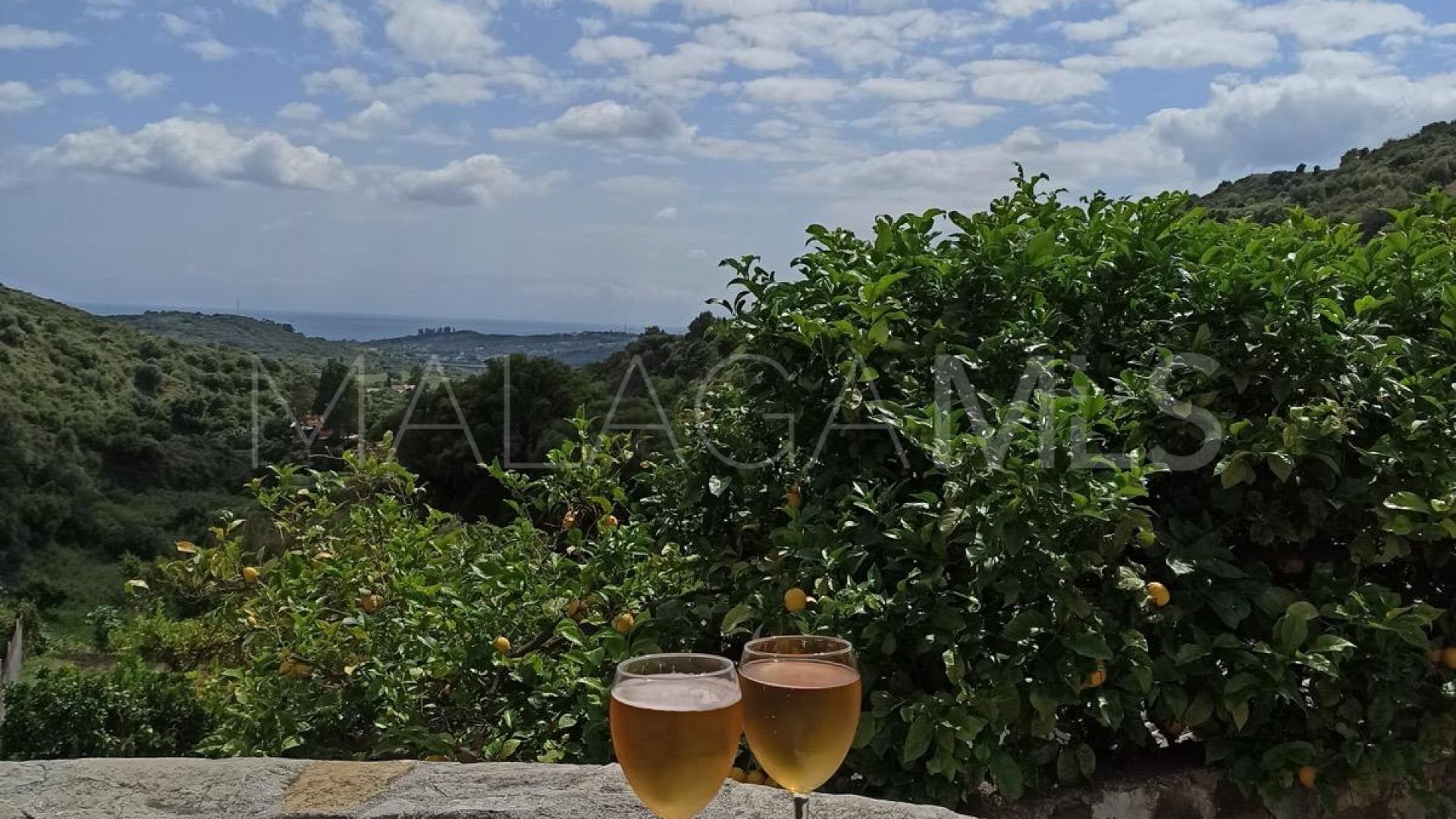 Maison de campagne for sale in Los Pedregales