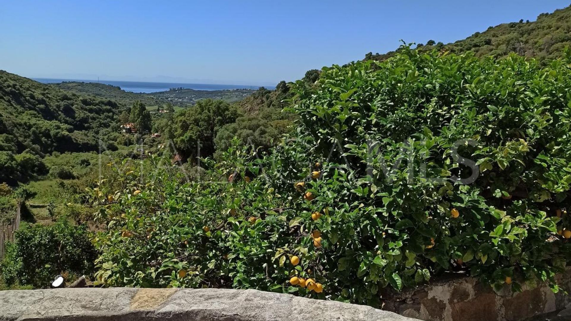 Maison de campagne for sale in Los Pedregales