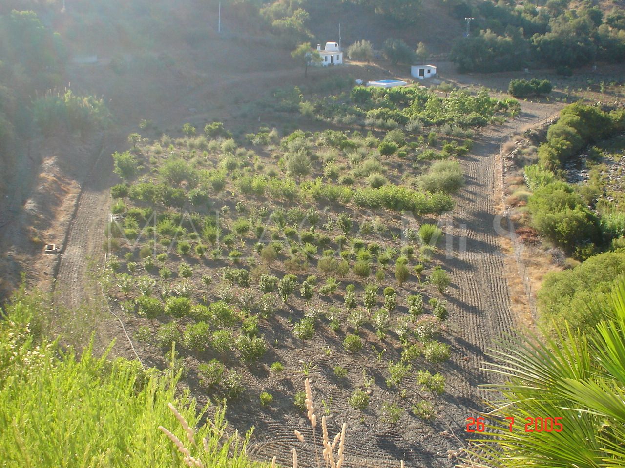 For sale plot in El Padron