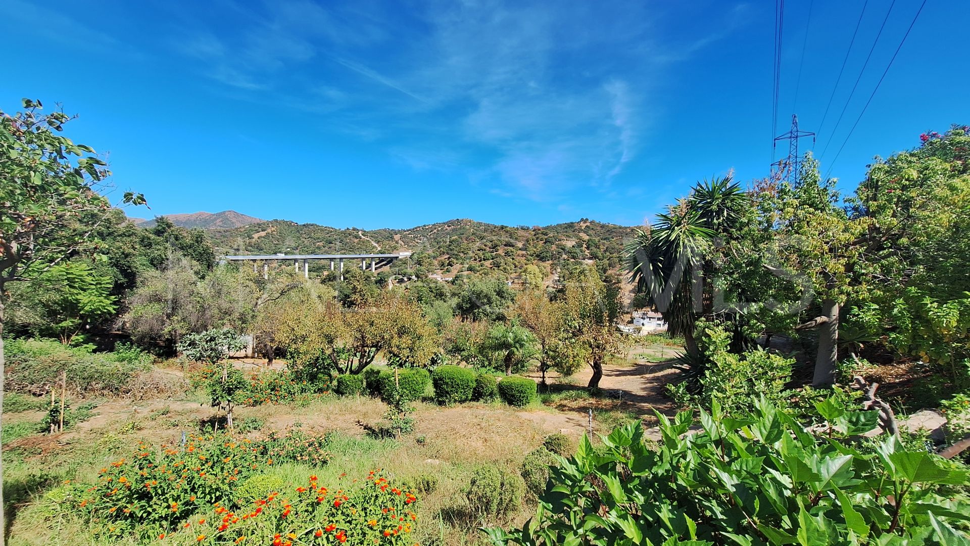 Finca for sale in El Velerin