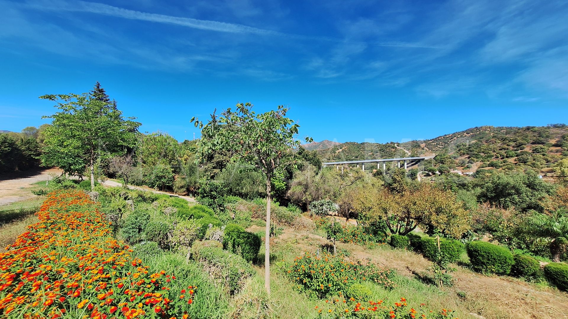 Finca for sale in El Velerin