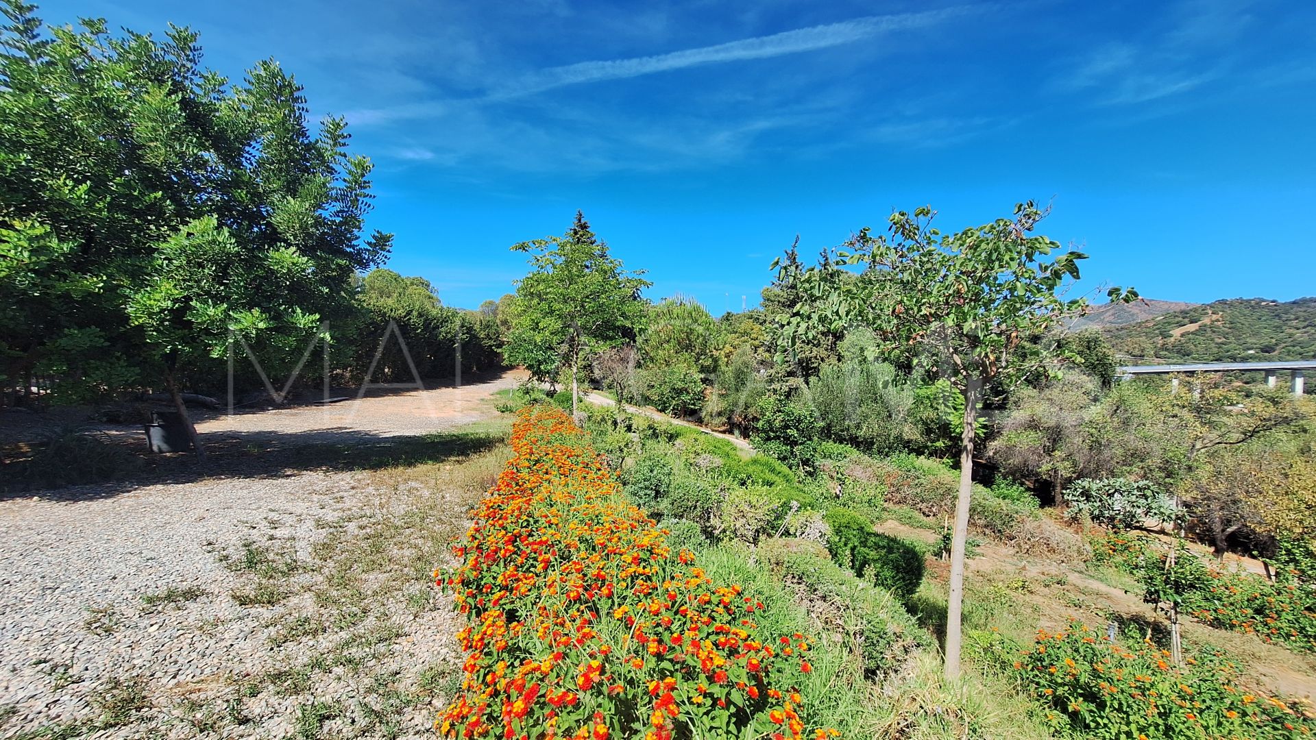 Finca for sale in El Velerin