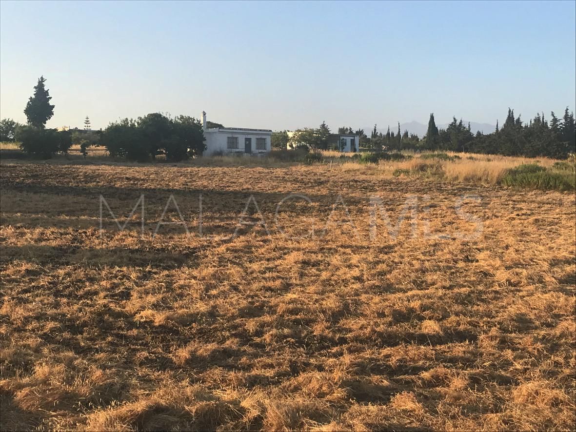 Reinoso plot for sale