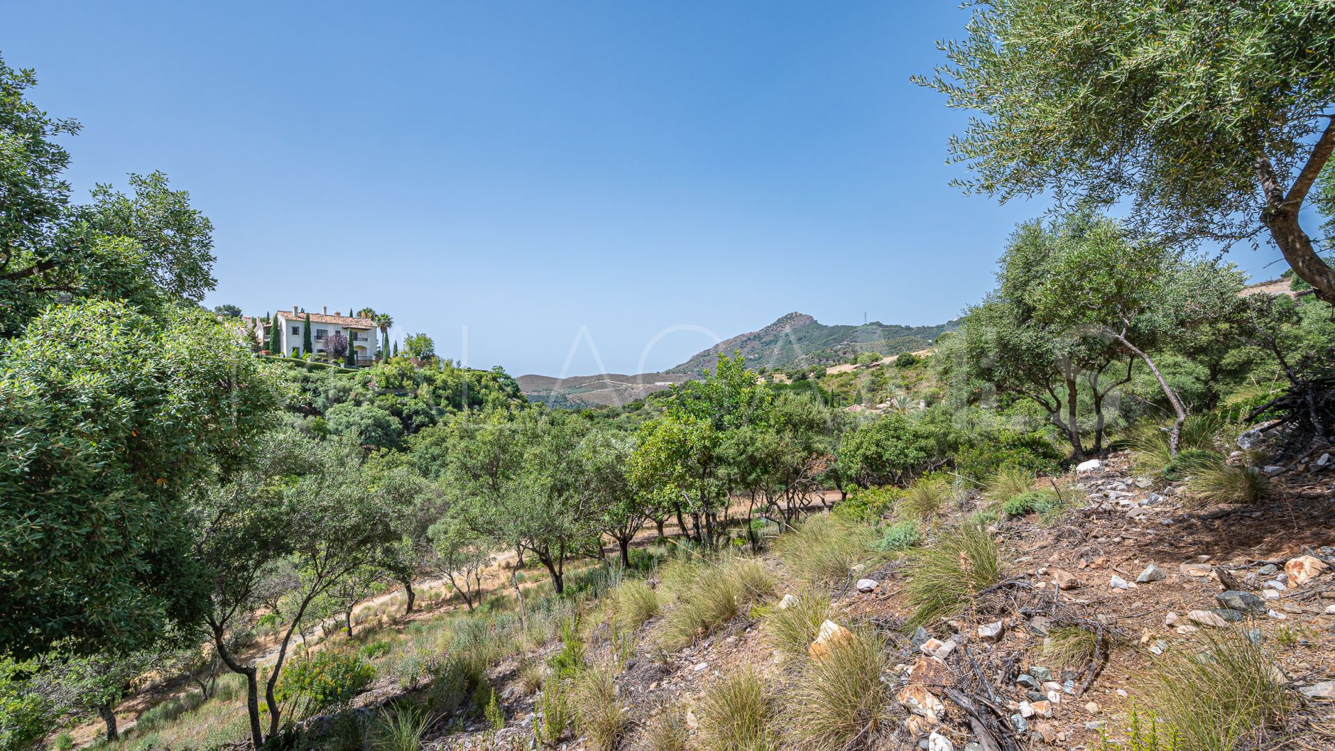 Villa for sale in La Zagaleta