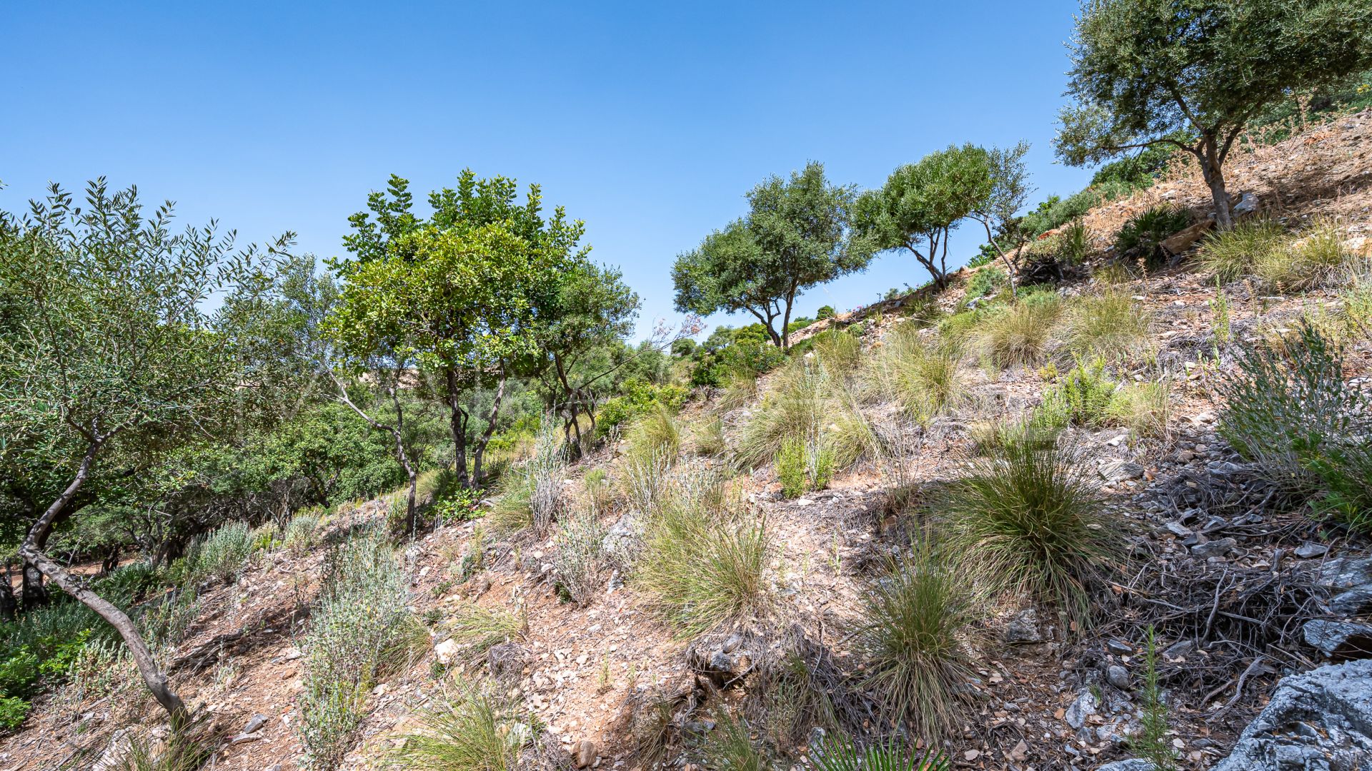 Terrain for sale in La Zagaleta