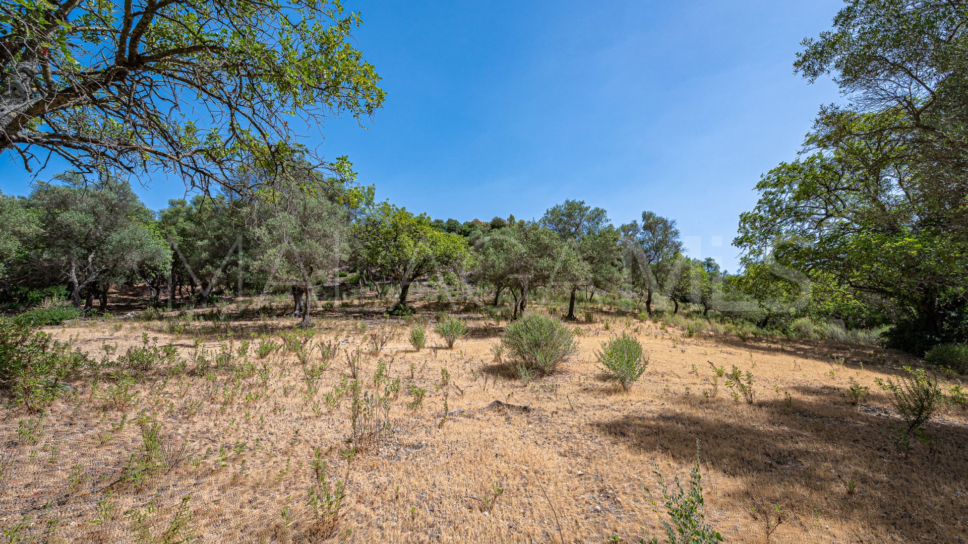 Terrain for sale in La Zagaleta