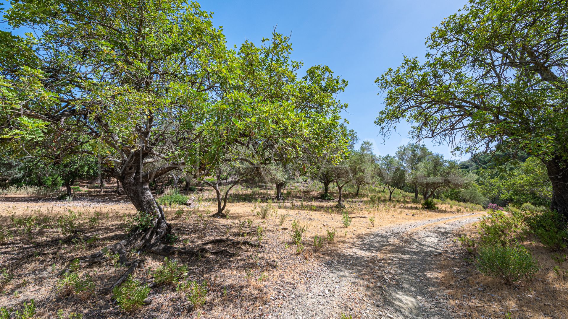 Terrain for sale in La Zagaleta