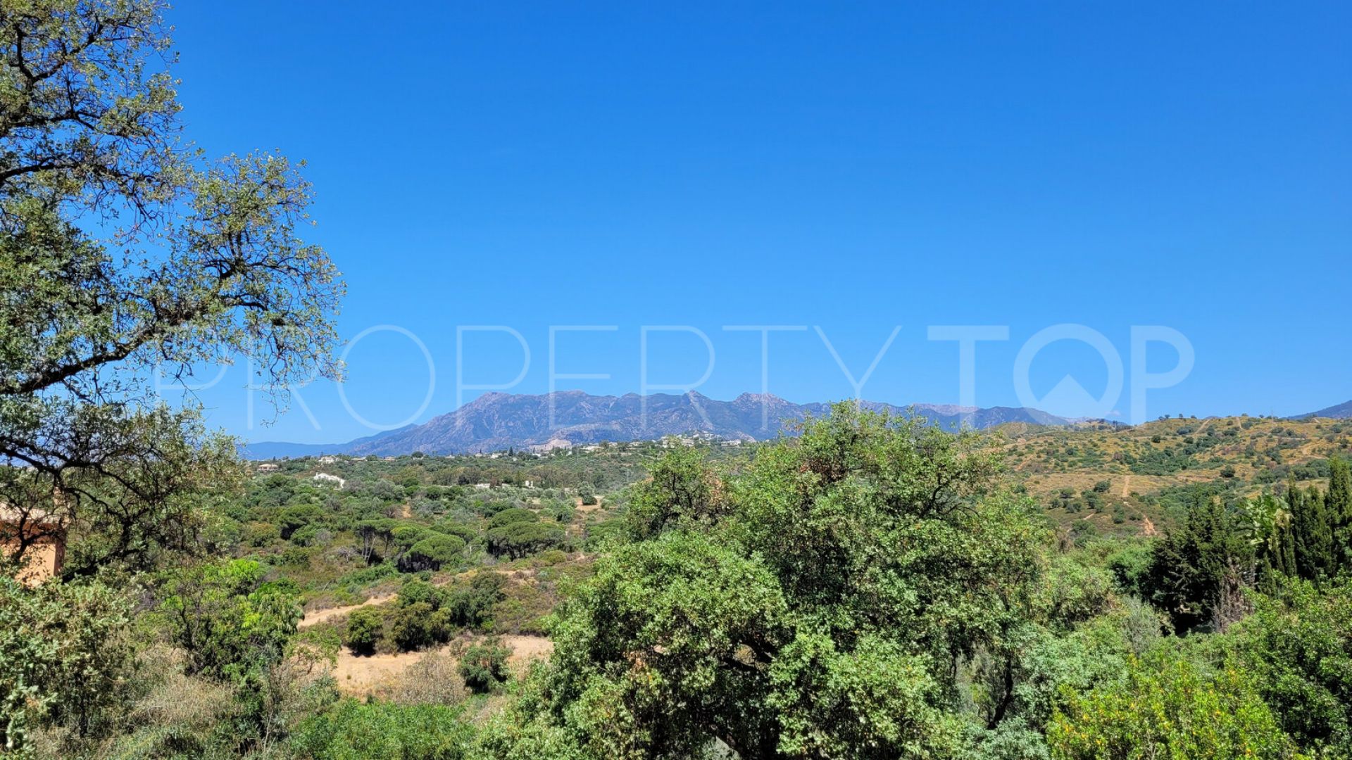 For sale Elviria plot