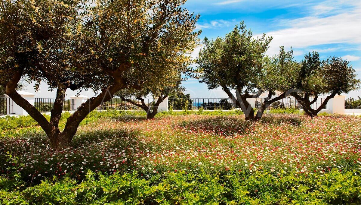 Villa for sale in Casares Golf