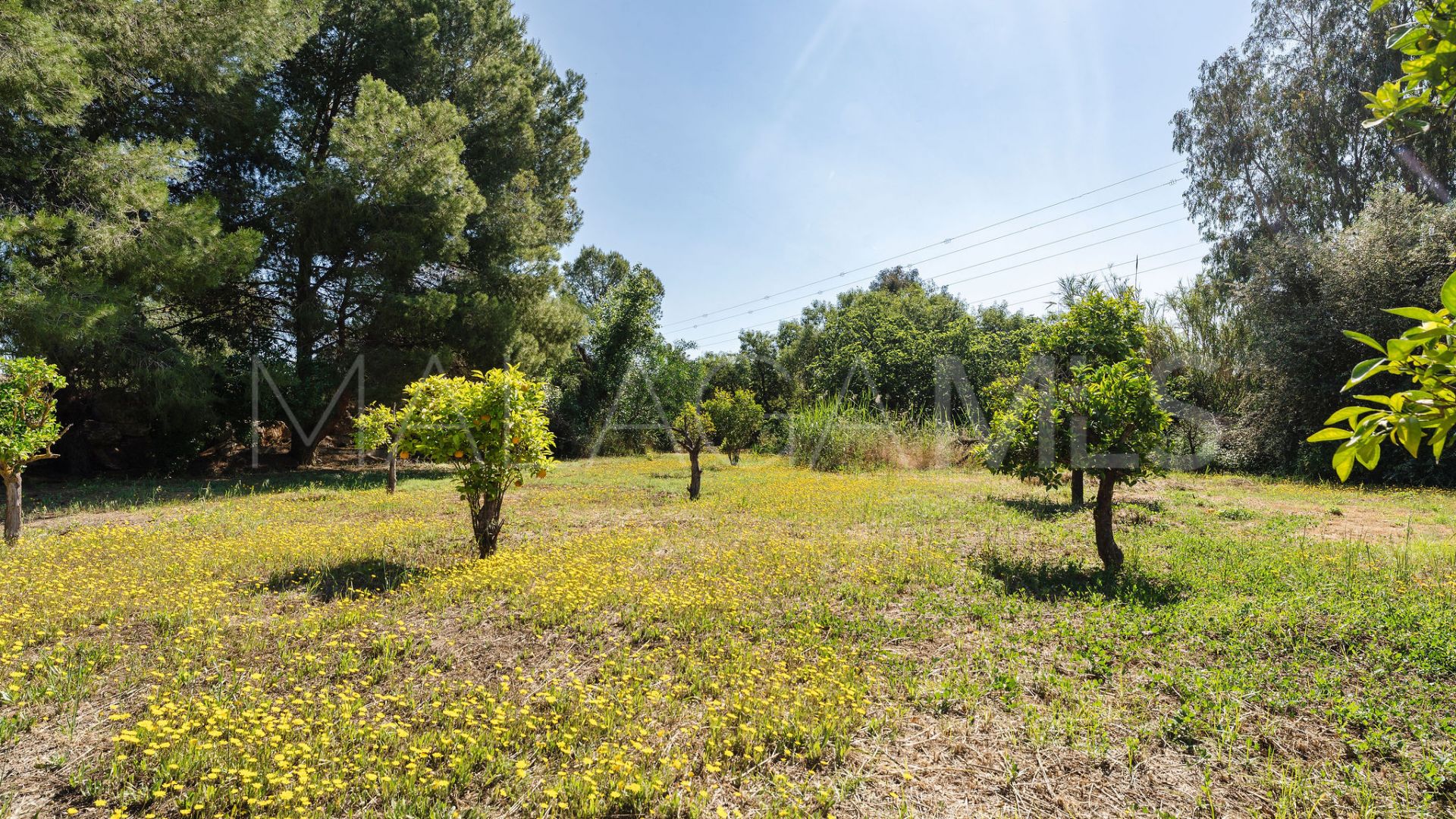 Landhaus for sale in Alhaurin el Grande