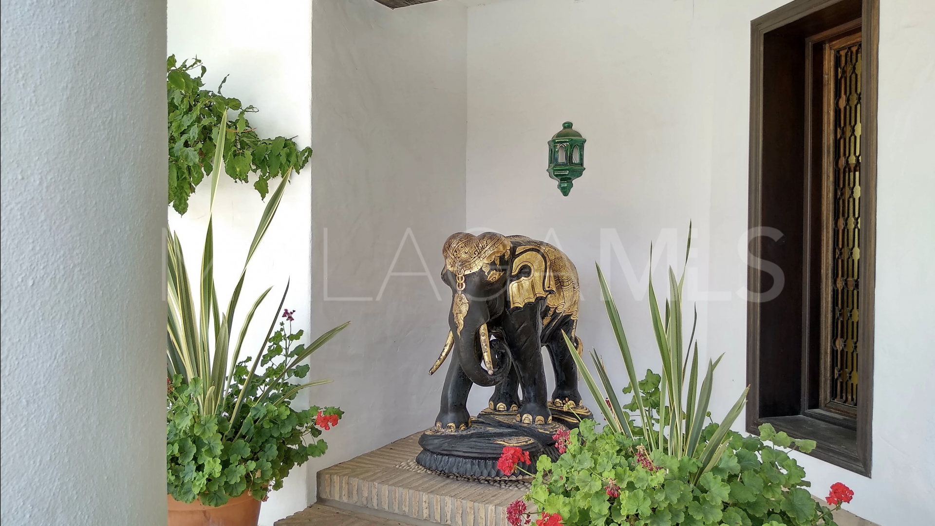 For sale Istan 6 bedrooms finca