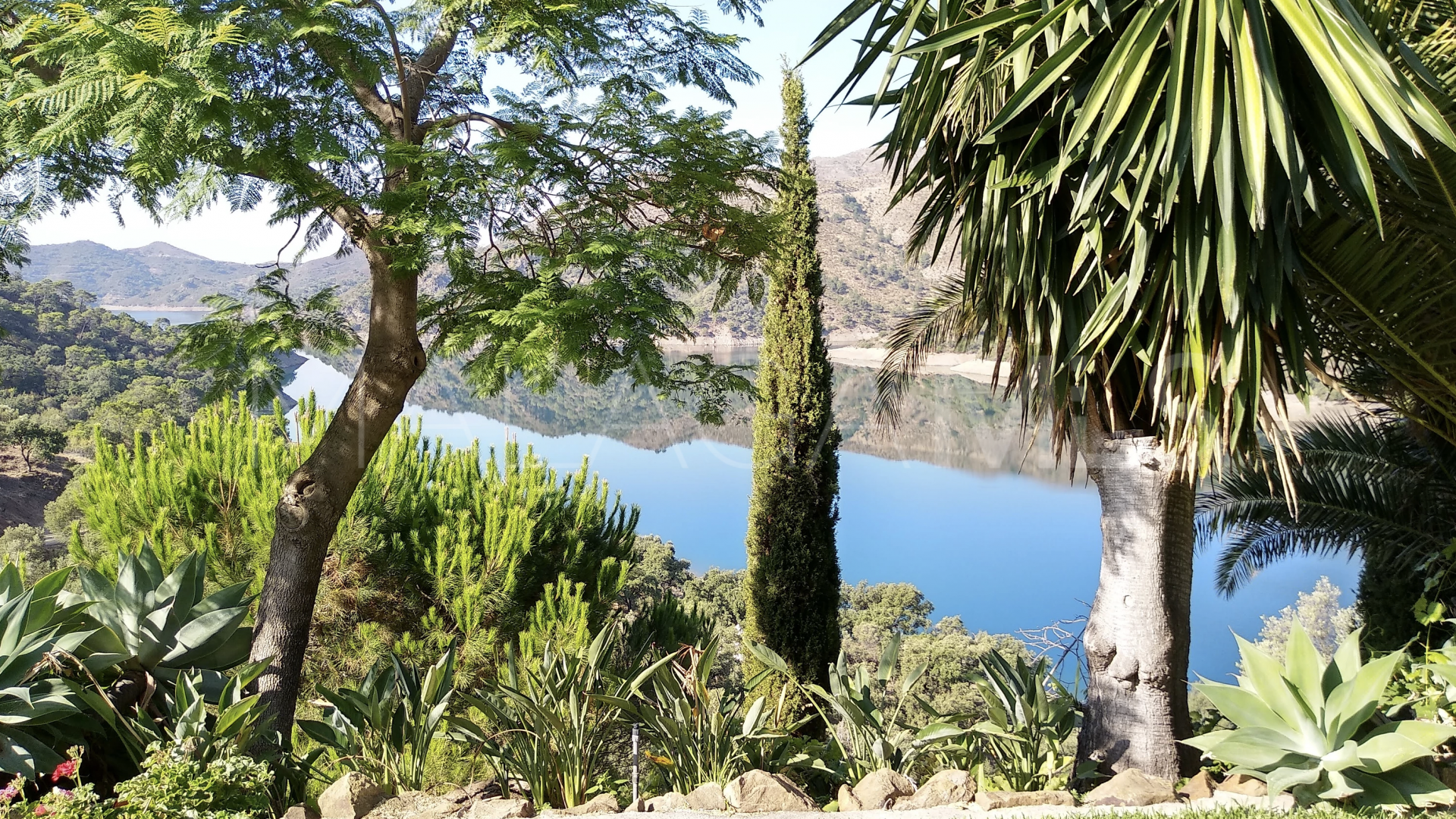 For sale Istan 6 bedrooms finca