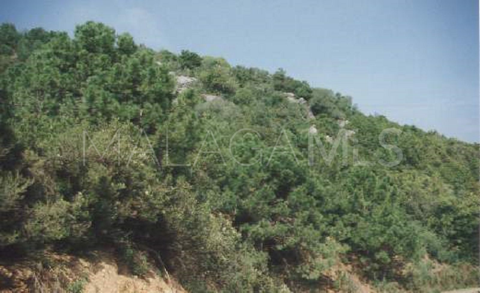 Terrain for sale in El Velerin