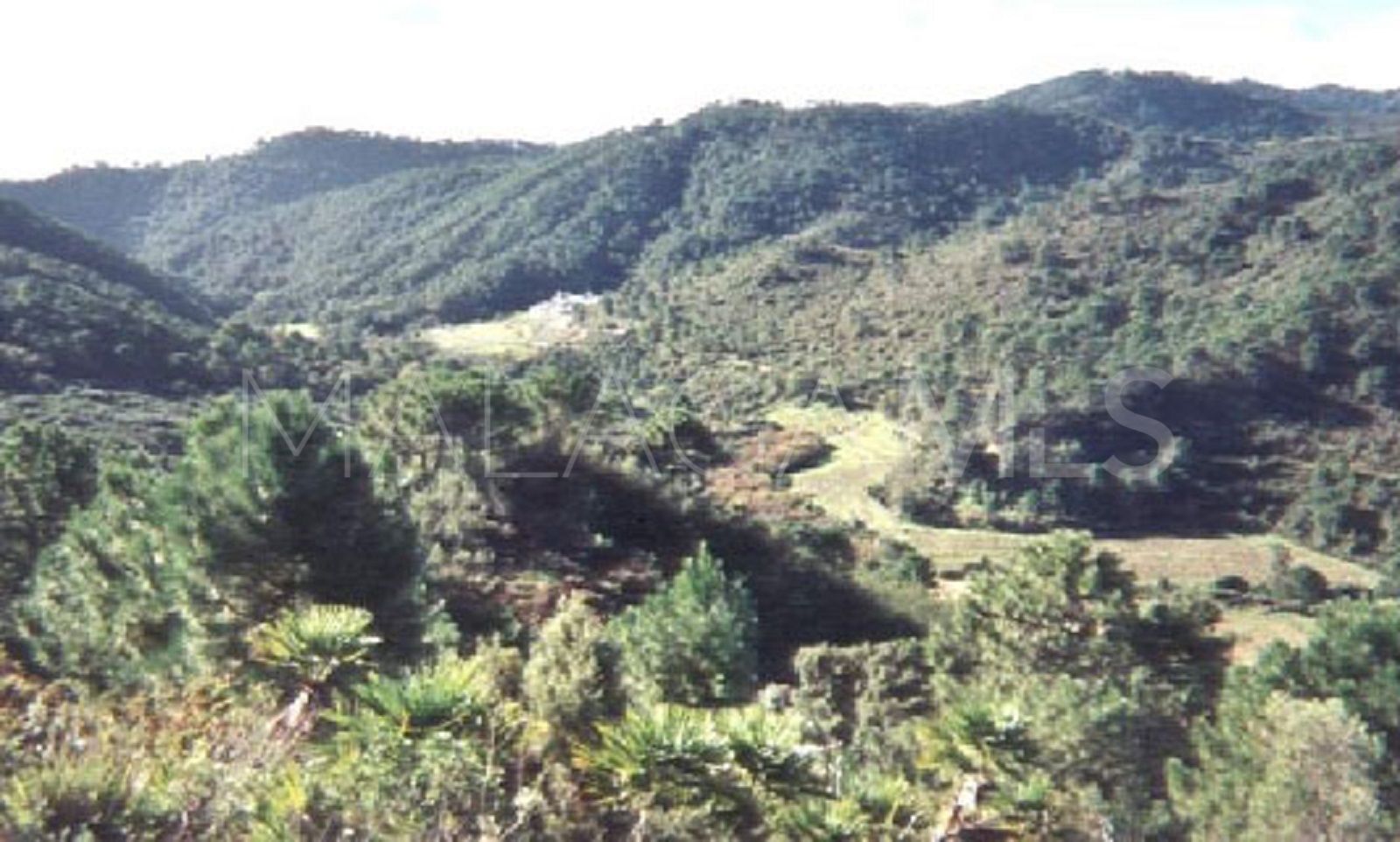 Terrain for sale in El Velerin