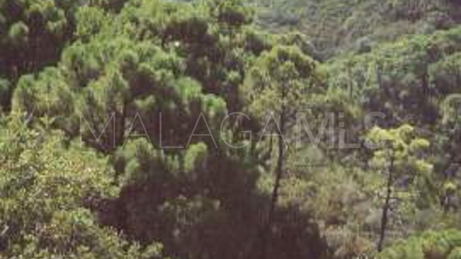 Terrain for sale in El Velerin