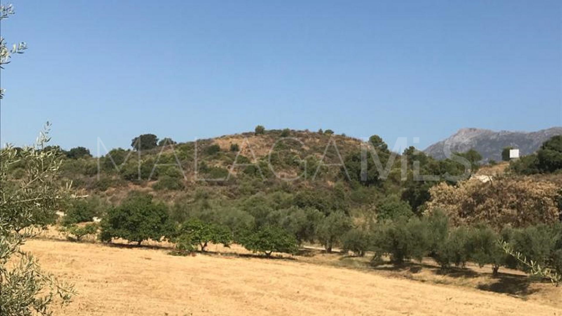 Tomt for sale in Los Monteros