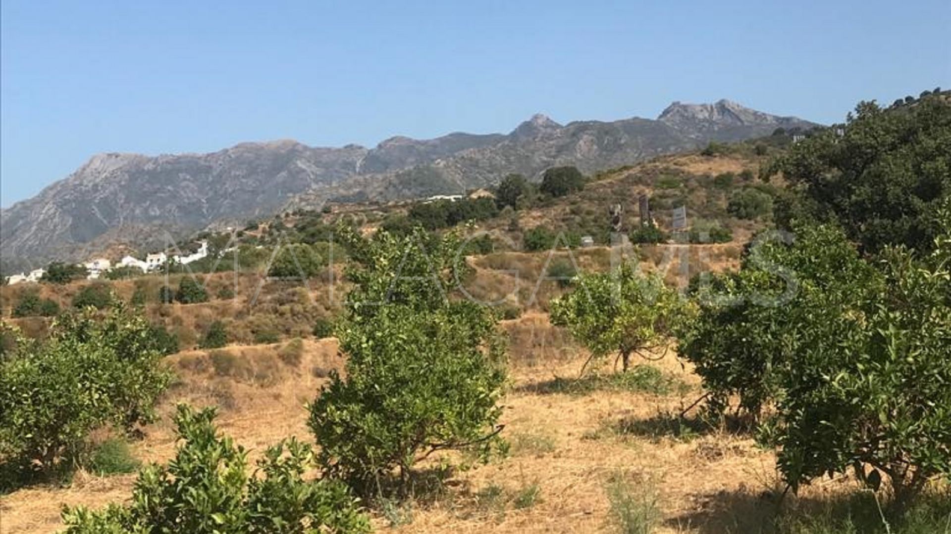 Tomt for sale in Los Monteros