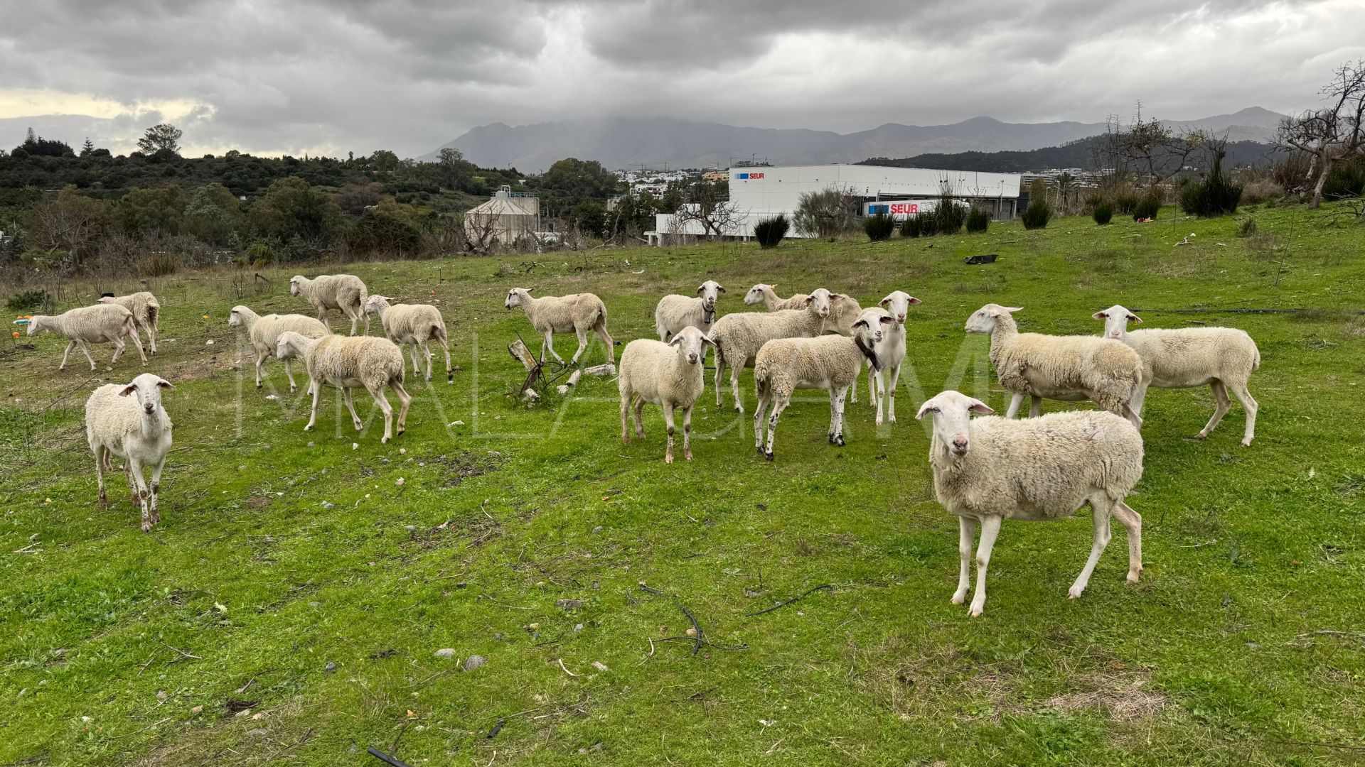 Villa for sale in Guadalmansa