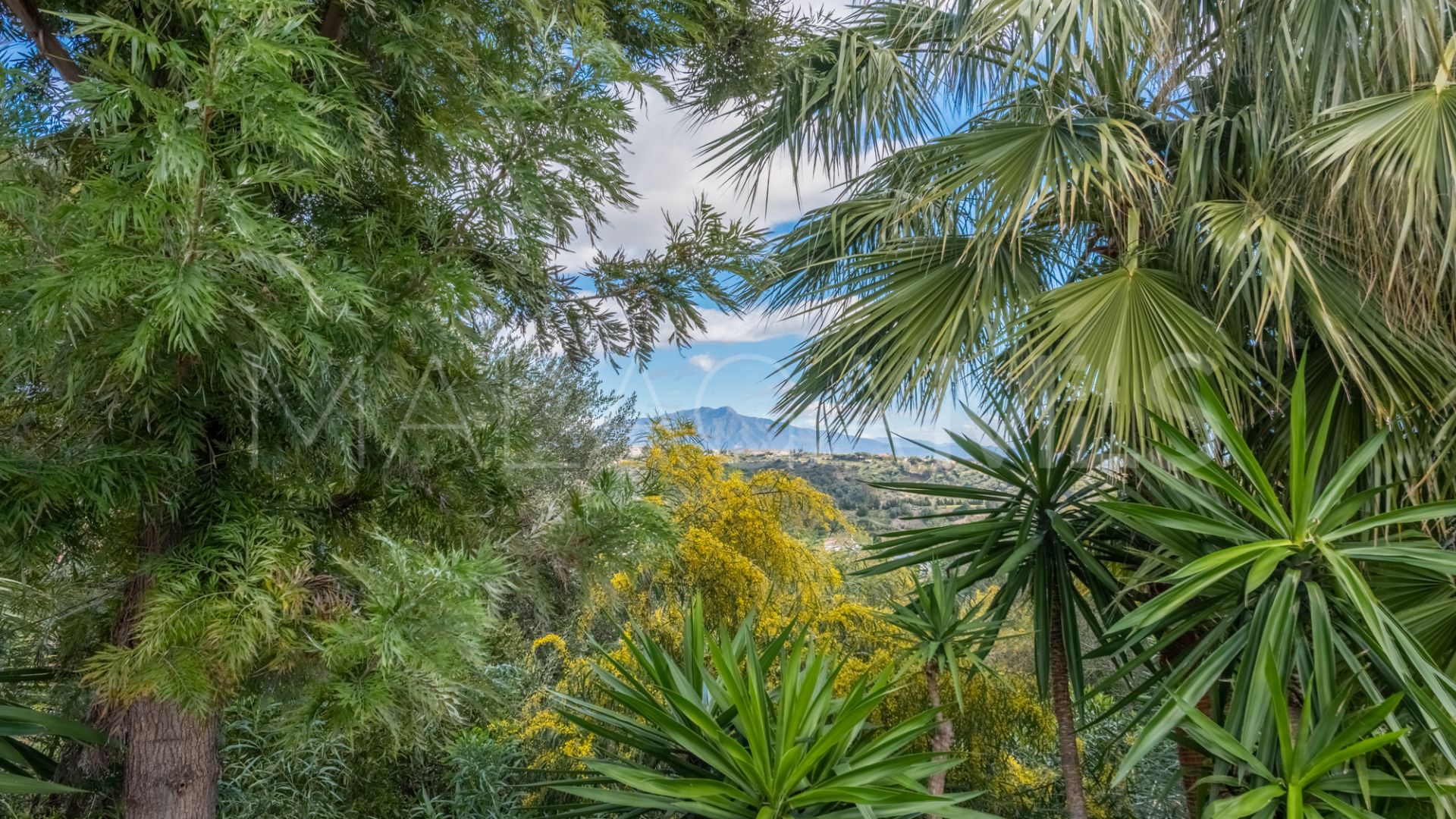 Villa for sale in New Golden Mile