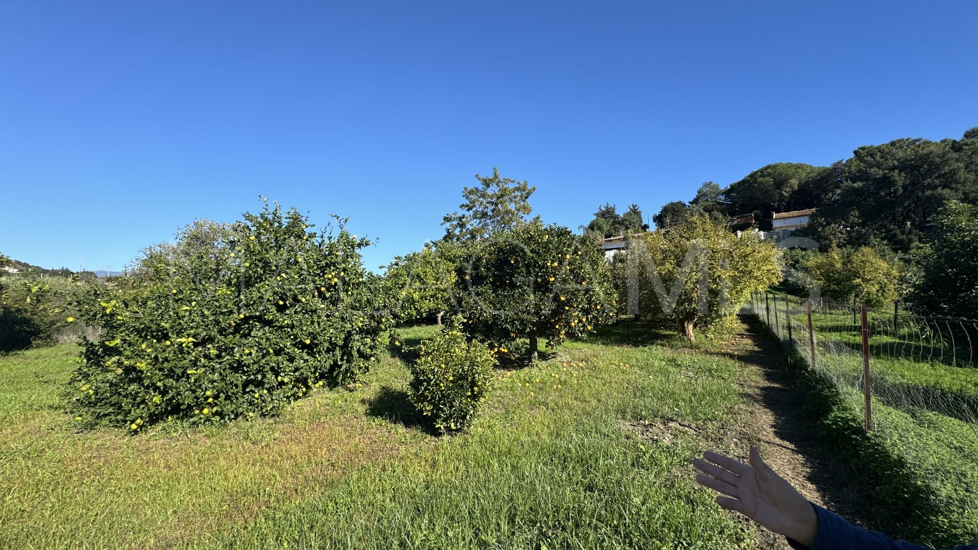 6 bedrooms Arroyo de las Cañas country house for sale