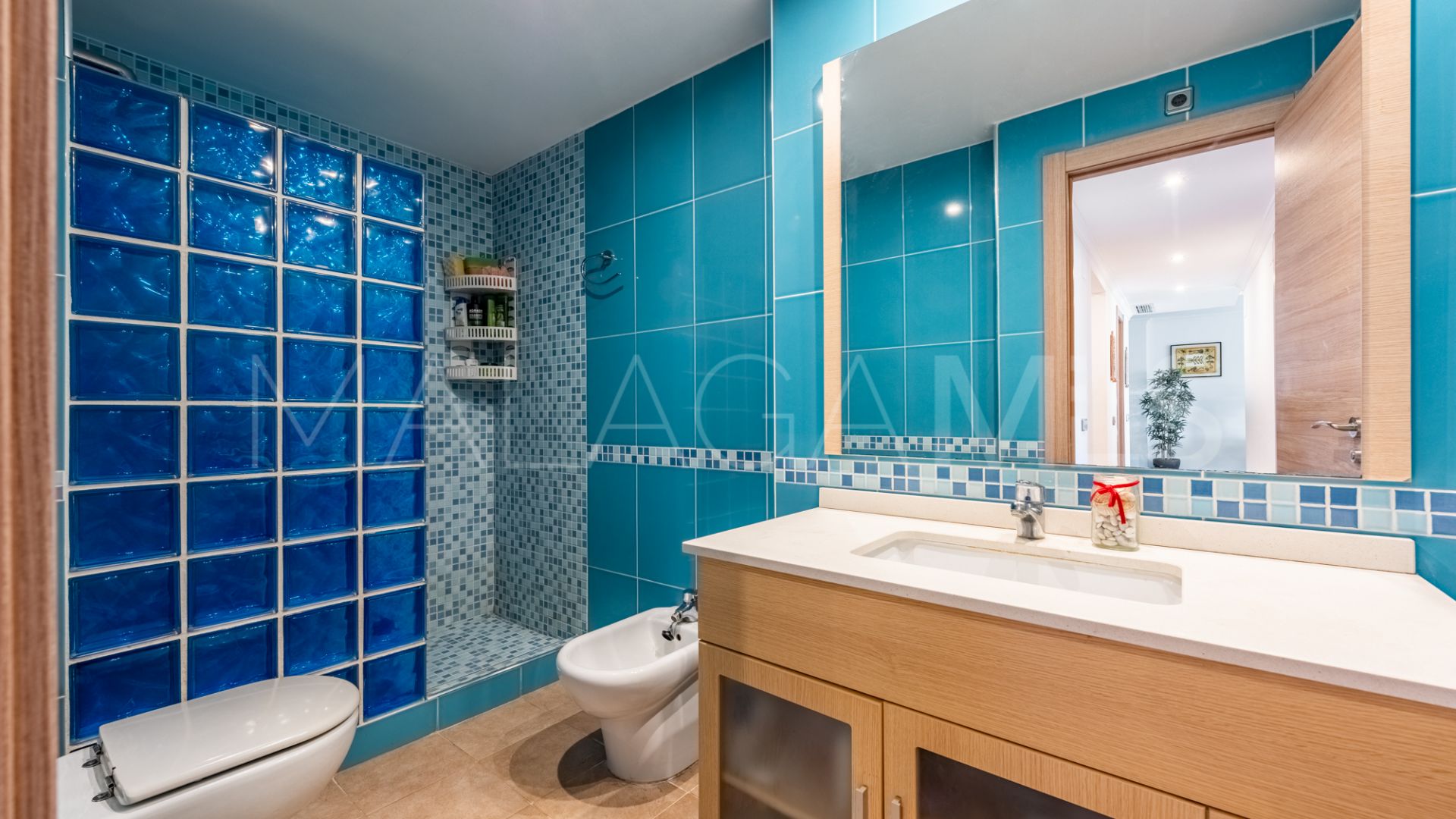 Appartement terrasse for sale in San Pedro de Alcantara