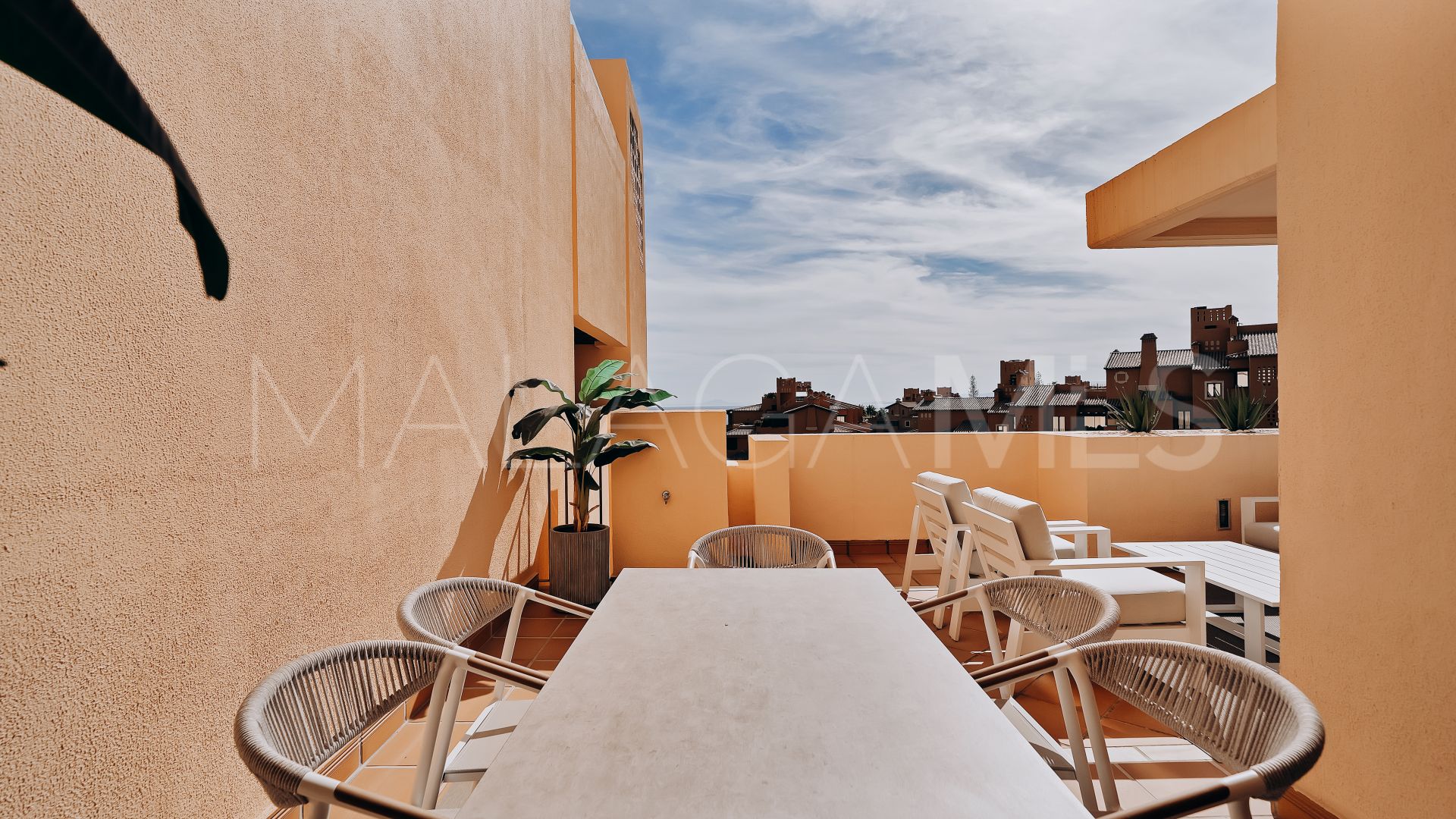 Appartement terrasse for sale in Bahia de la Plata
