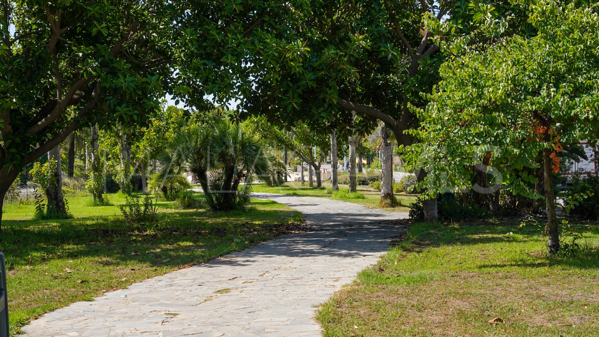 For sale San Pedro Playa 3 bedrooms apartment